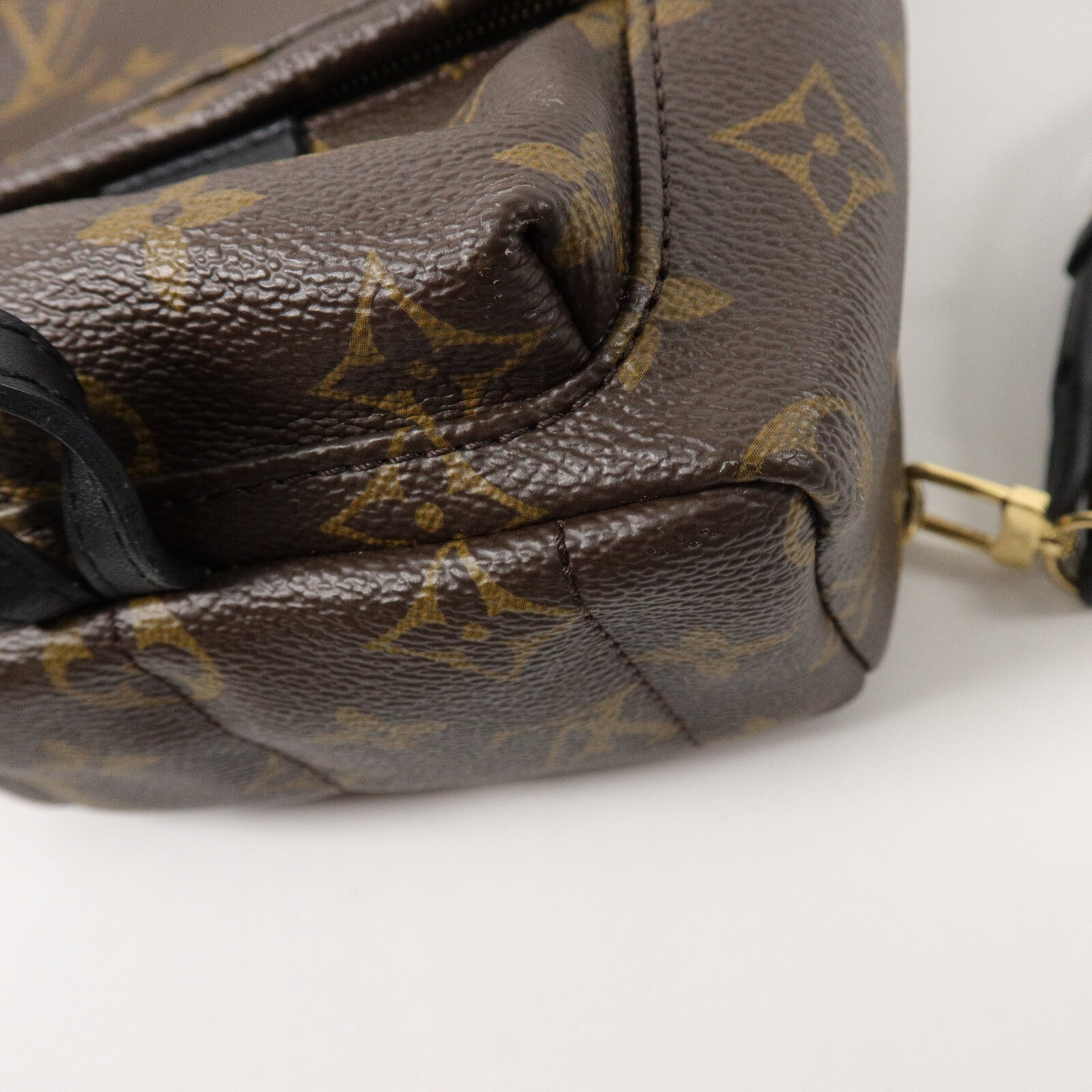 LOUIS VUITTON Monogram Palm Springs Mini背包