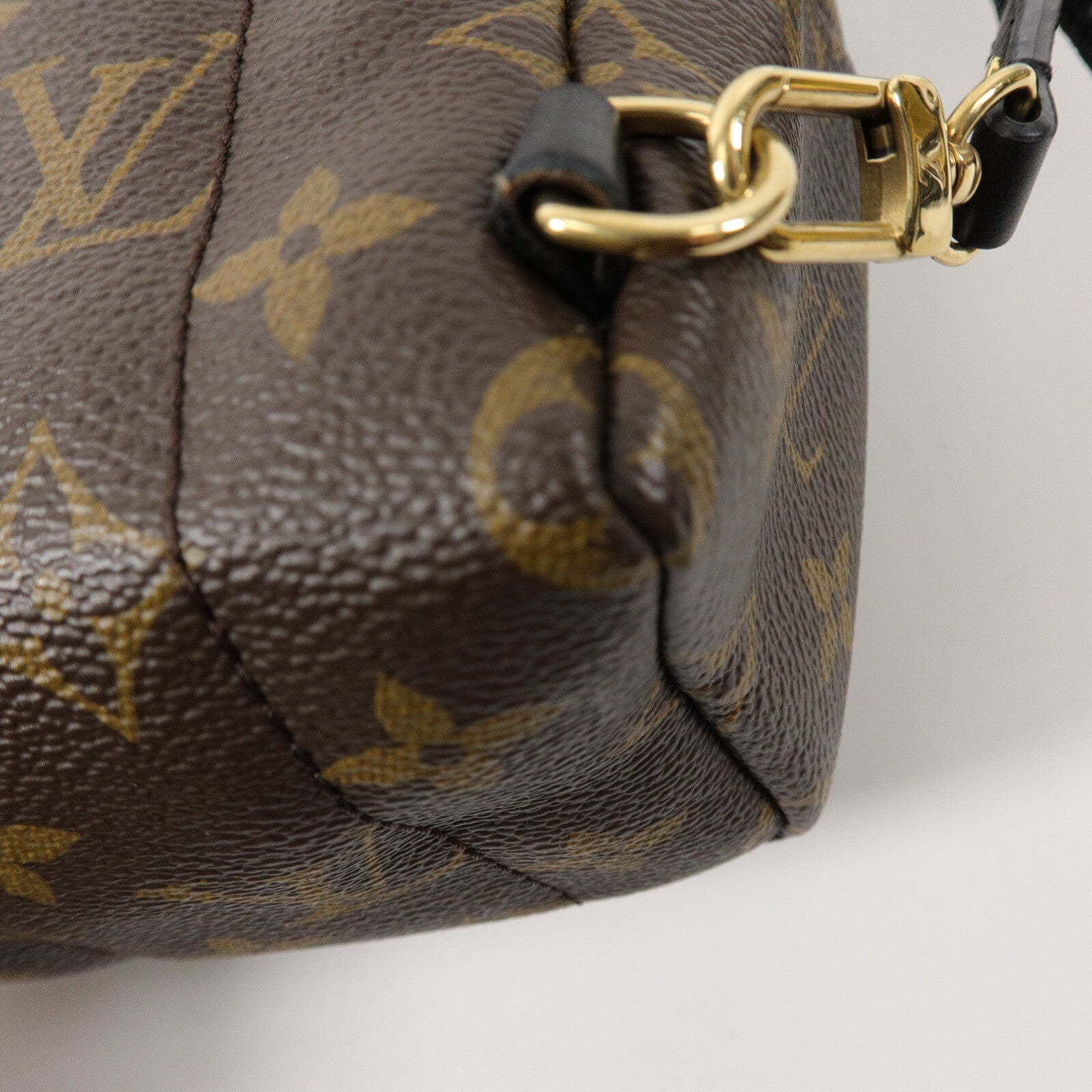 LOUIS VUITTON Monogram Palm Springs Mini背包