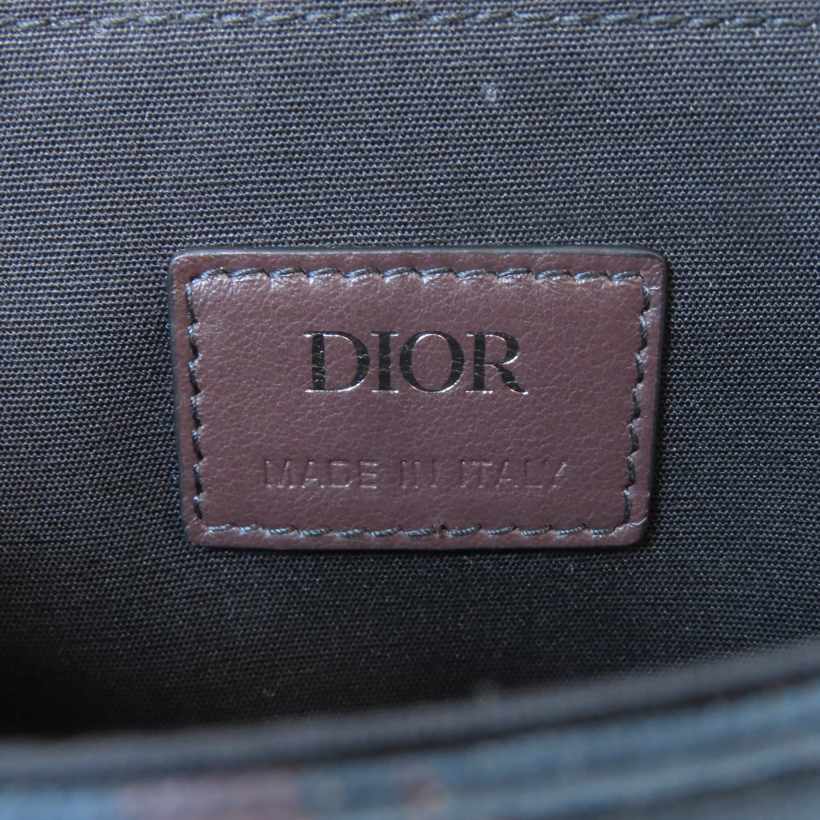Dior 帆布Dior x Peter Doig Shoulder Bag肩背袋深藍色/深紅色/啡色