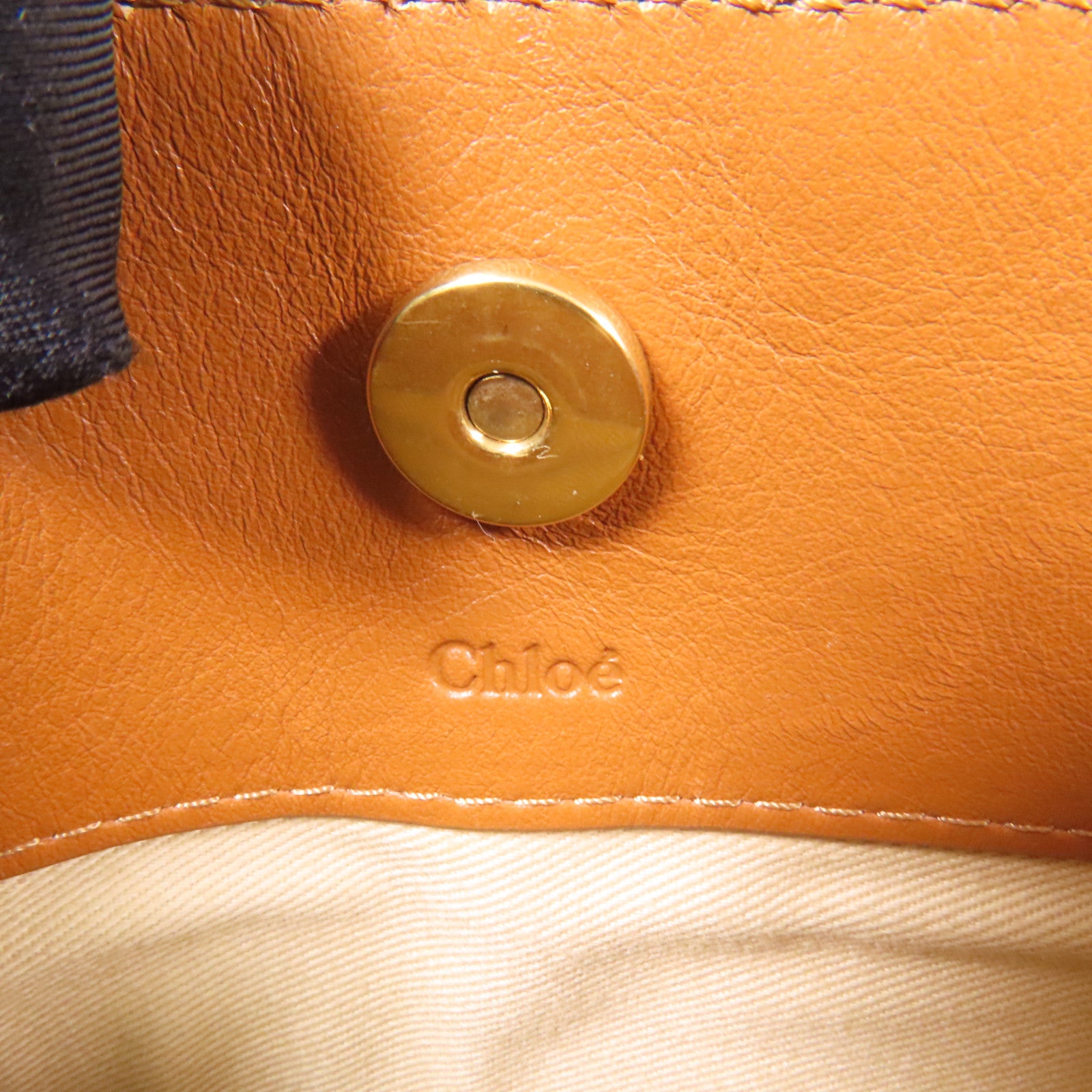 Chloe 麂皮/牛皮皮革Mini Roy金扣肩背袋