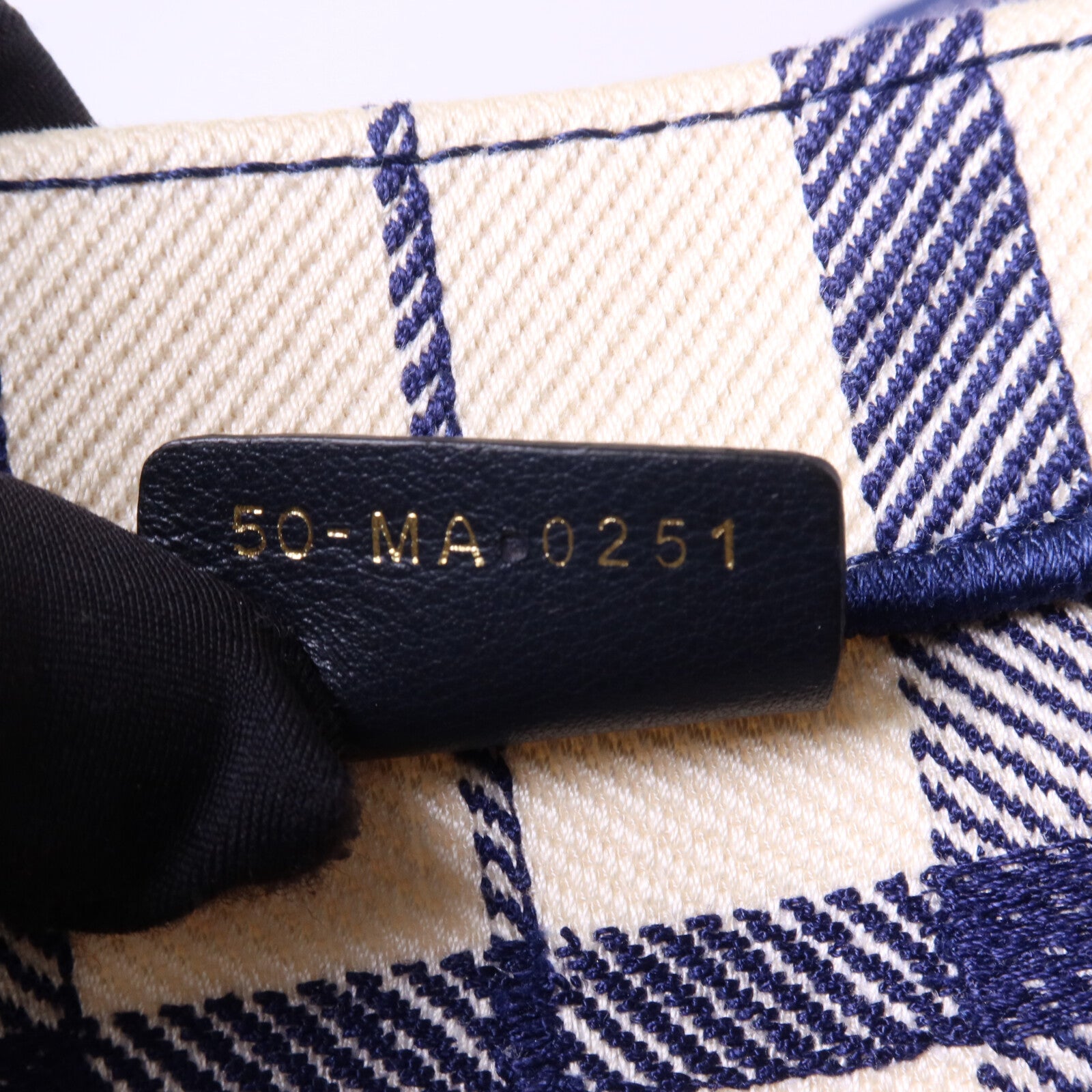 Dior 帆布Book Tote Large手挽袋