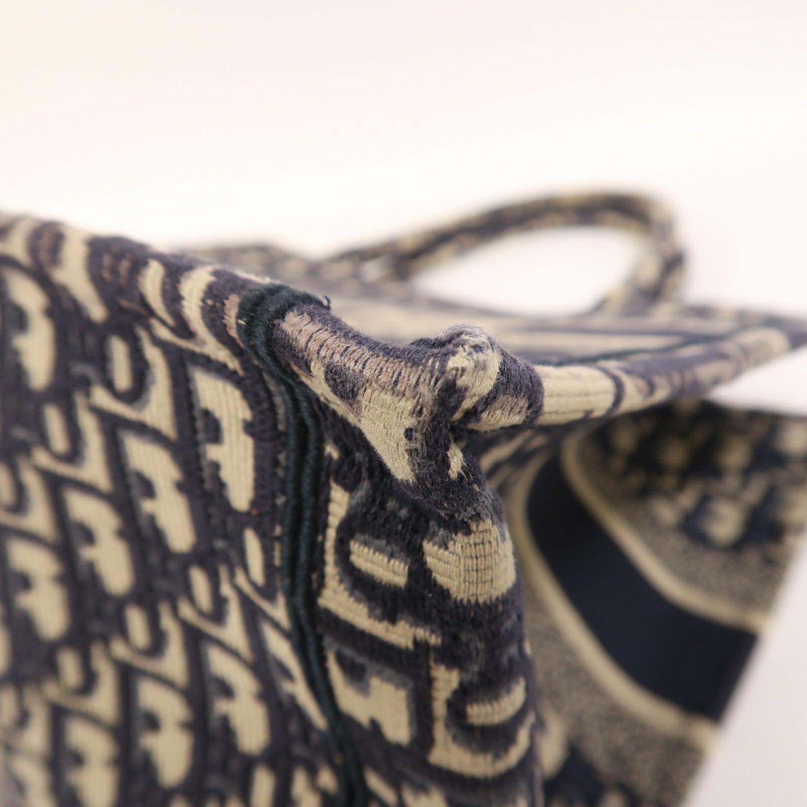 Dior 帆布Book Tote Medium手挽袋