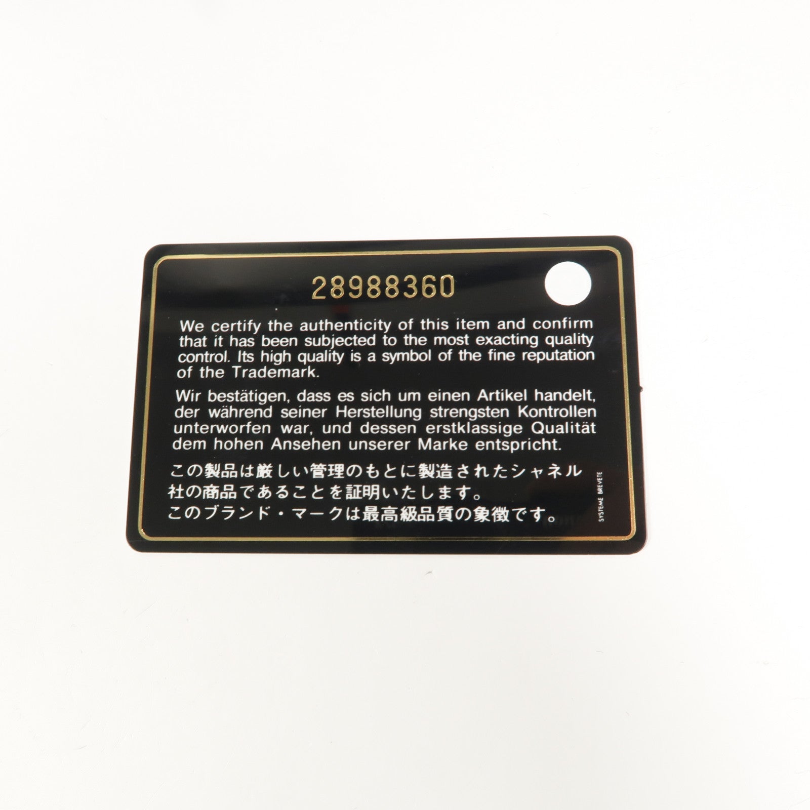 CHANEL 牛皮/蜥蜴皮革Coco Handle鏈帶手挽肩背兩用袋