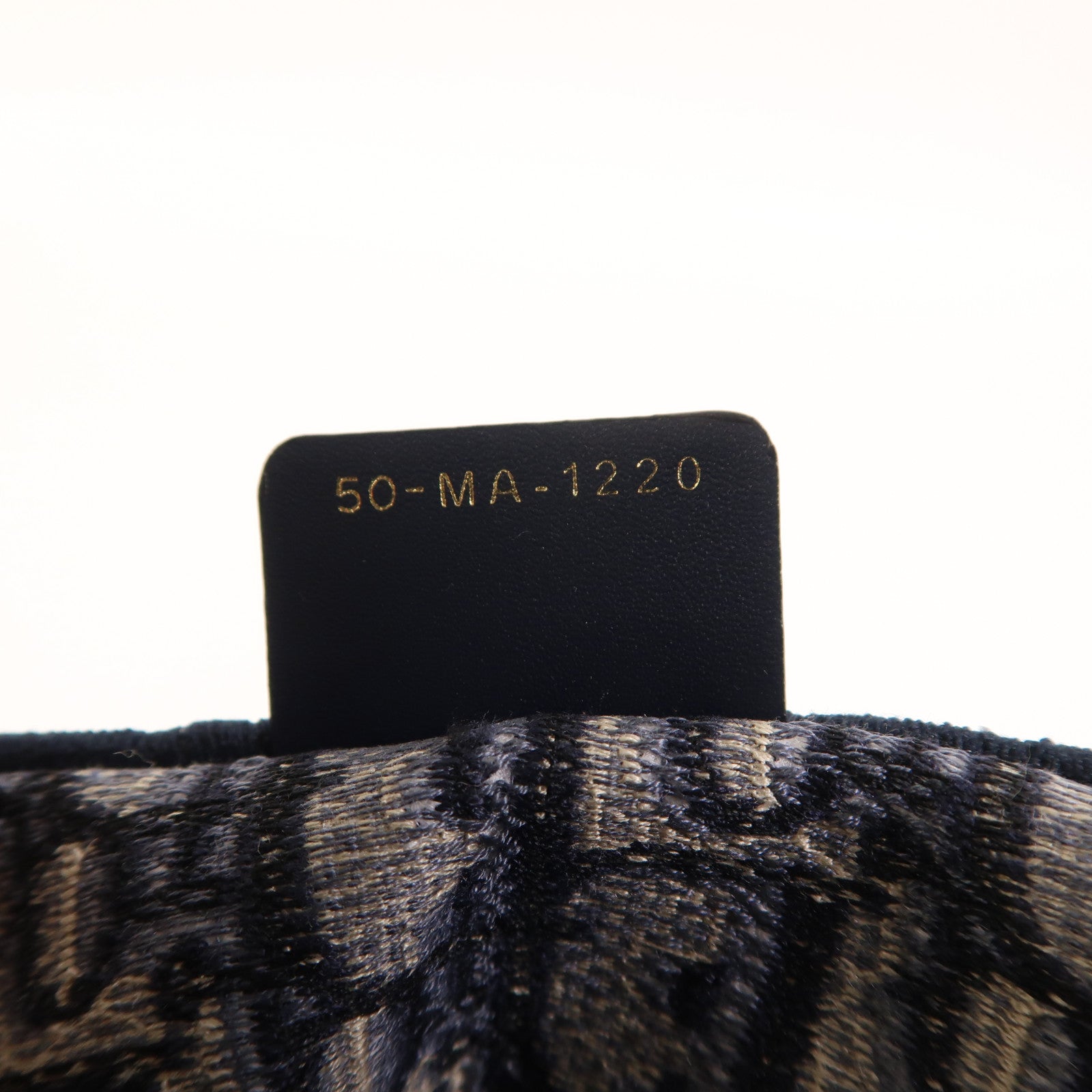 Dior 帆布Book Tote Medium手挽袋