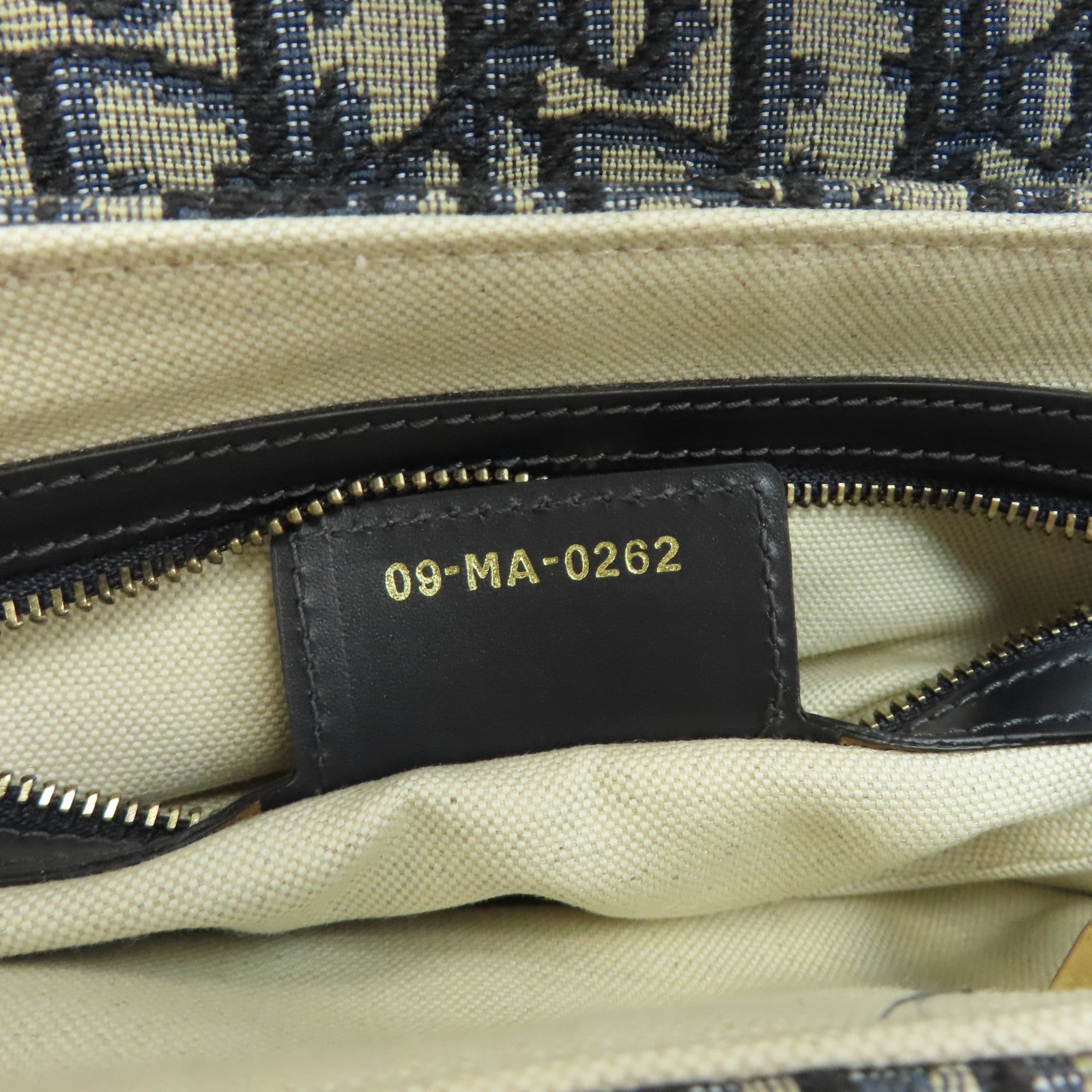 Dior 帆布Saddle Bag金扣手挽袋藍色
