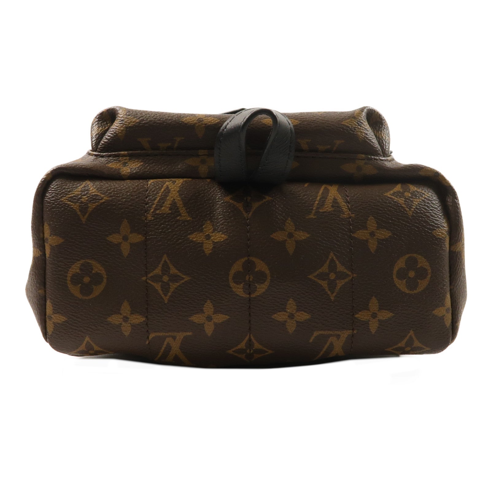 LOUIS VUITTON Monogram Palm Springs PM背包