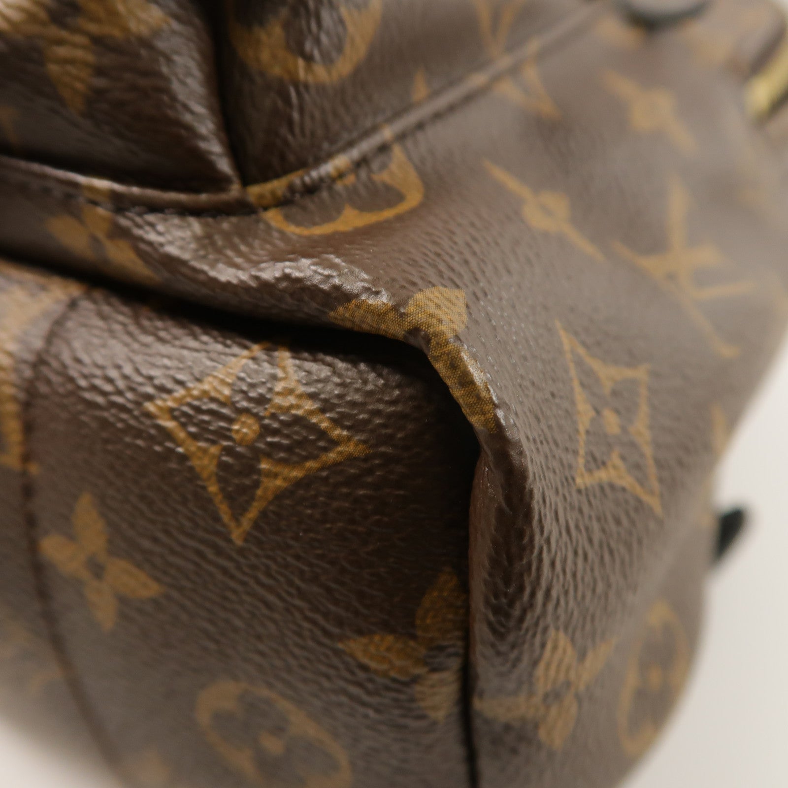 LOUIS VUITTON Monogram Palm Springs PM背包