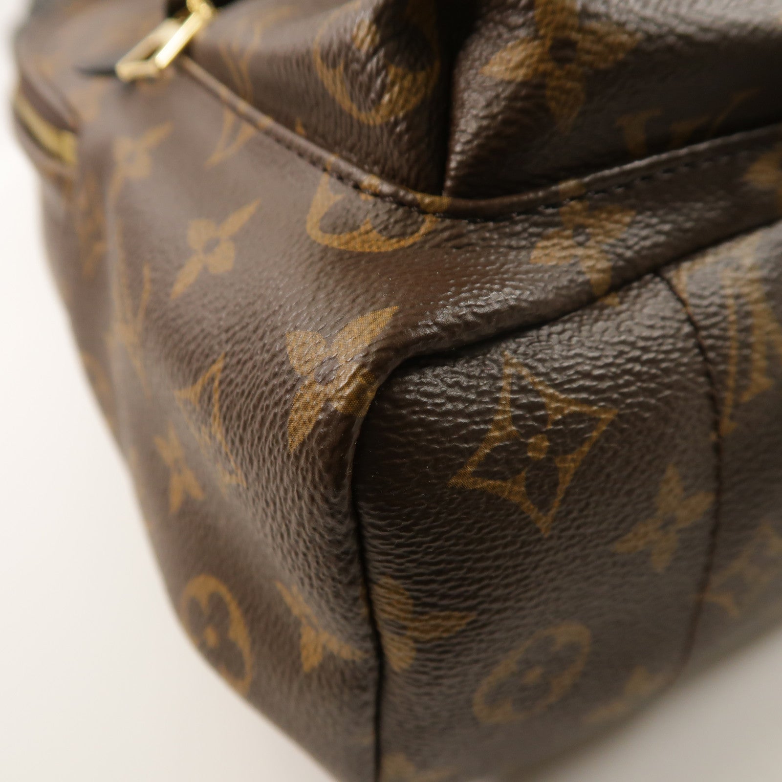 LOUIS VUITTON Monogram Palm Springs PM背包