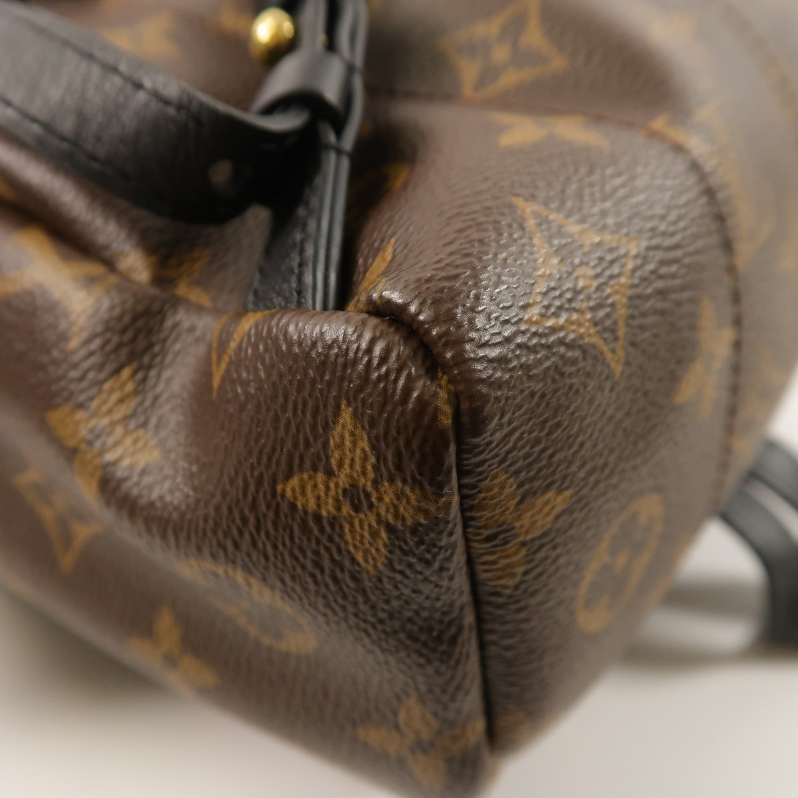 LOUIS VUITTON Monogram Palm Springs PM背包