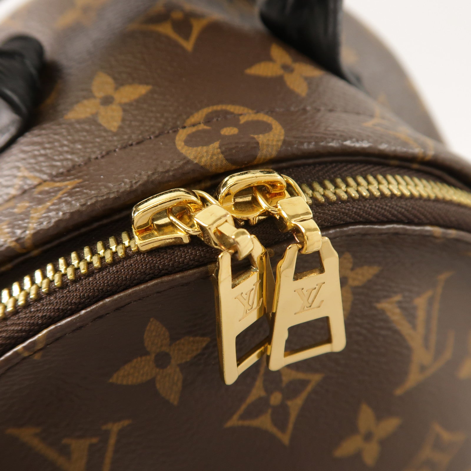 LOUIS VUITTON Monogram Palm Springs PM背包