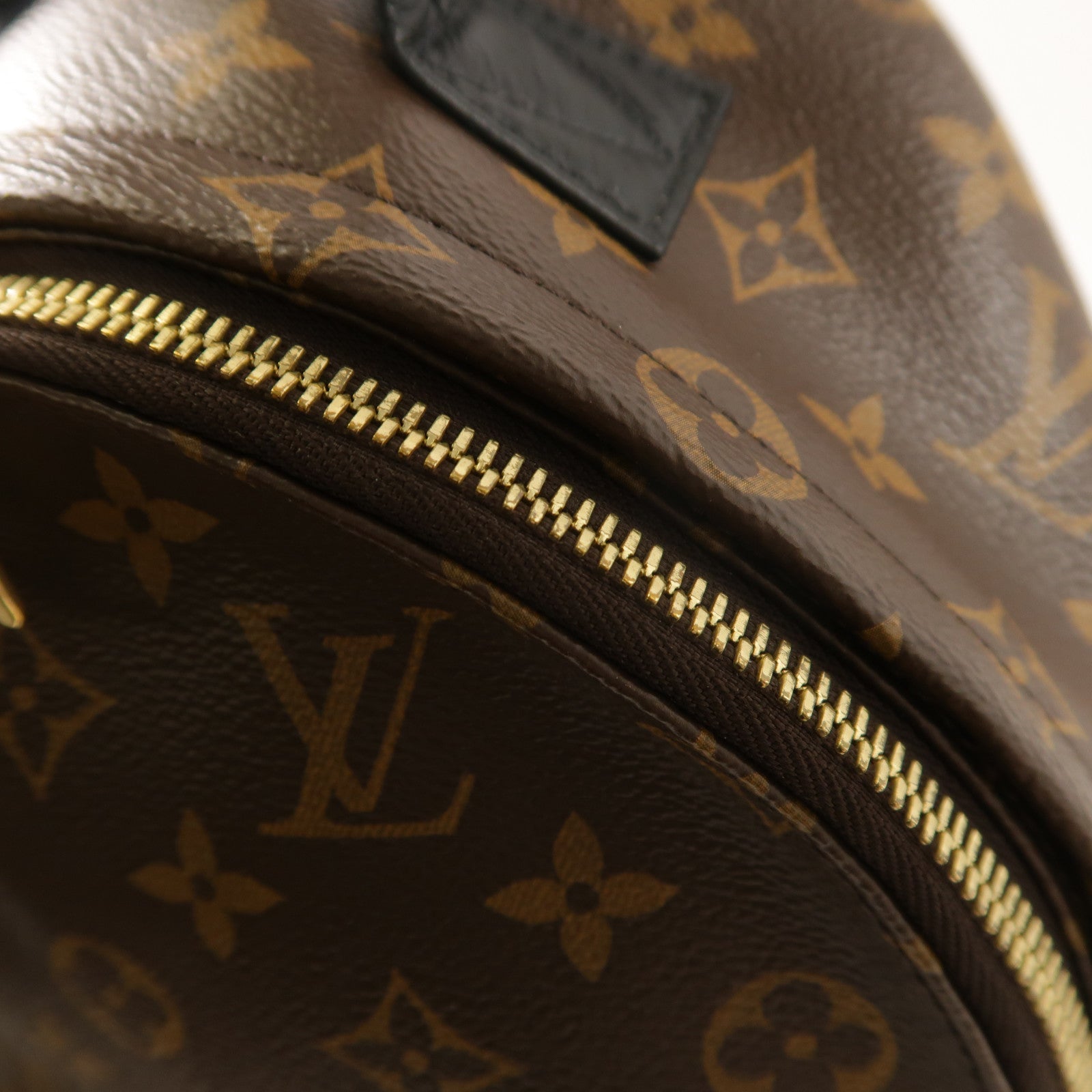 LOUIS VUITTON Monogram Palm Springs PM背包