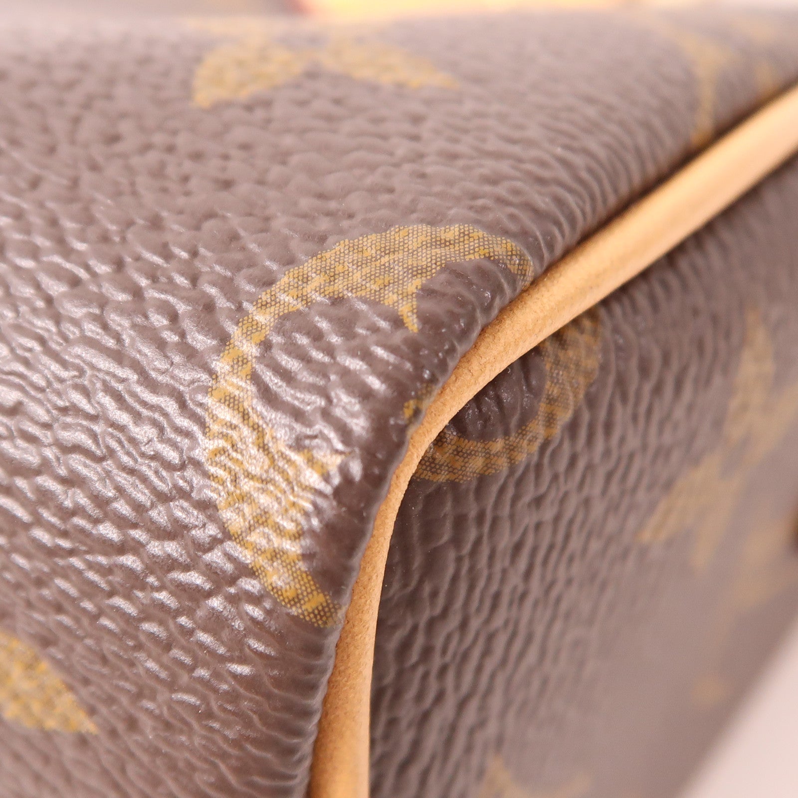 LOUIS VUITTON Monogram Nano Speedy金扣手挽肩背兩用袋