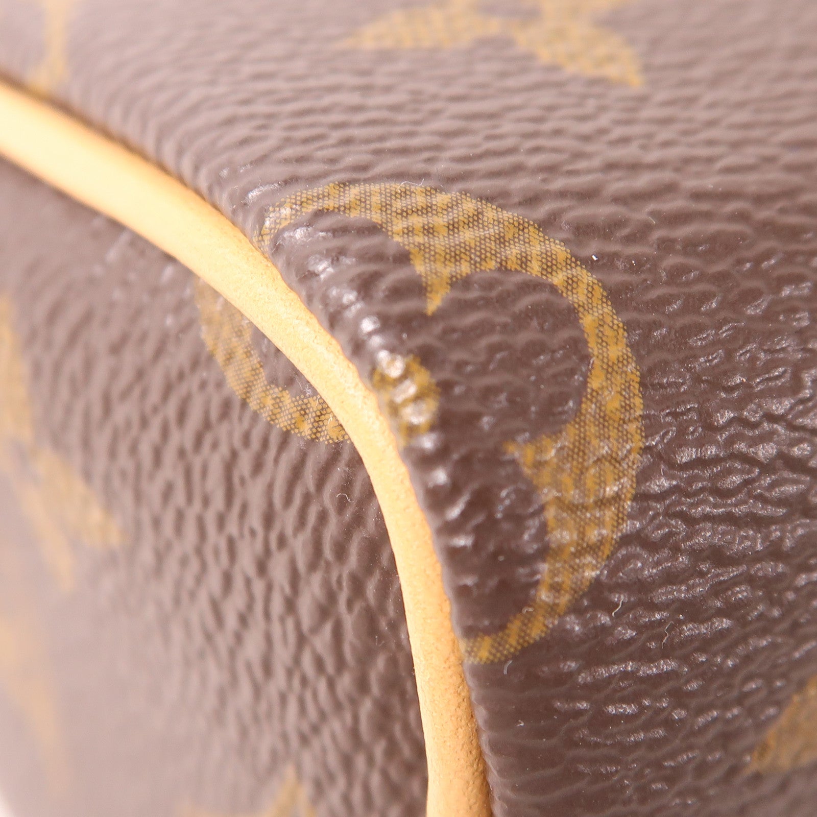 LOUIS VUITTON Monogram Nano Speedy金扣手挽肩背兩用袋