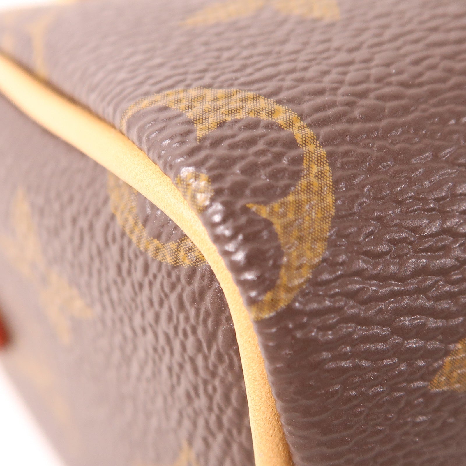 LOUIS VUITTON Monogram Nano Speedy金扣手挽肩背兩用袋