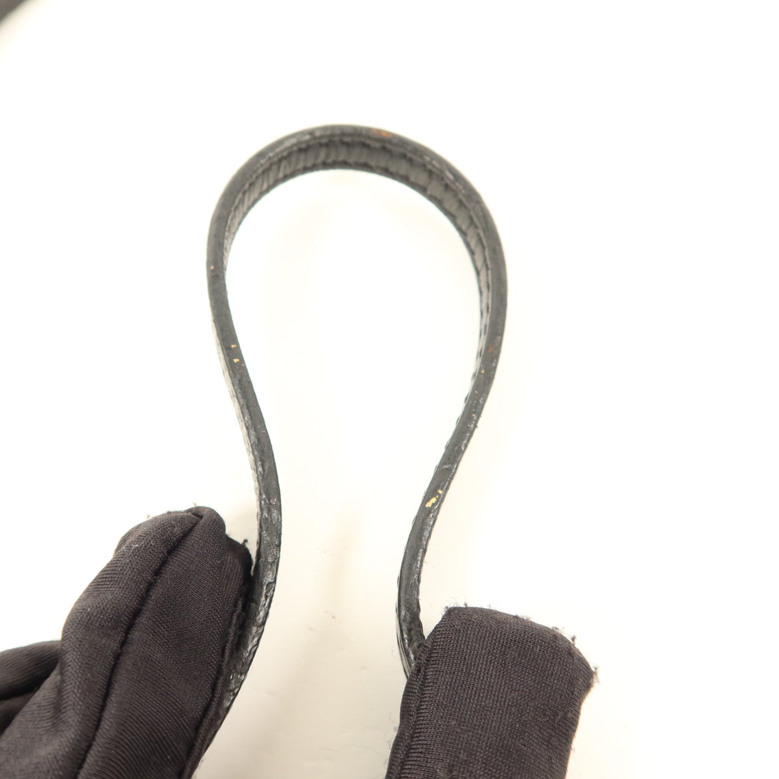 LOUIS VUITTON 帆布Petite Malle Soft MM金扣肩背袋