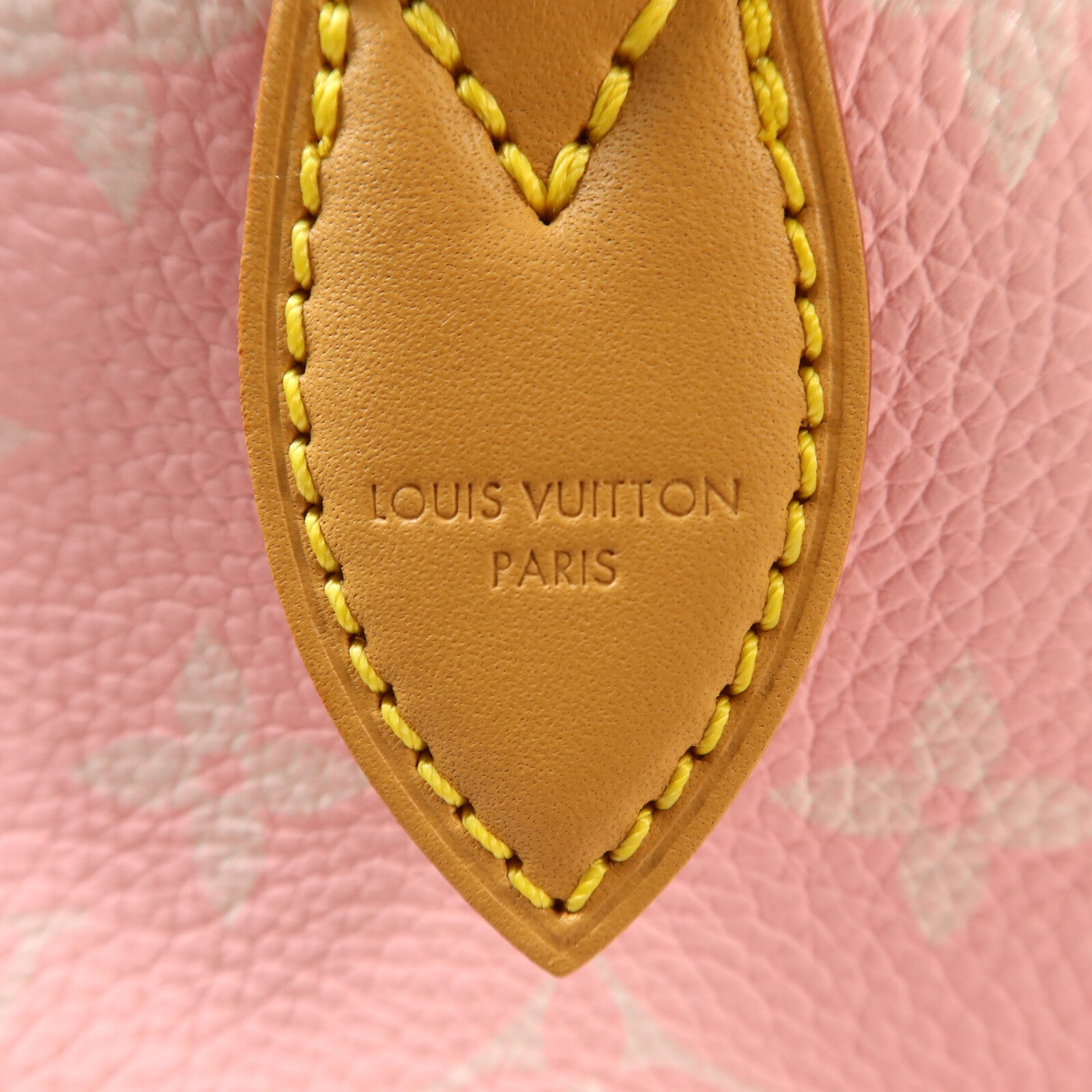 LOUIS VUITTON 牛皮皮革Speedy P9 Bandouliere金扣手挽肩背兩用袋