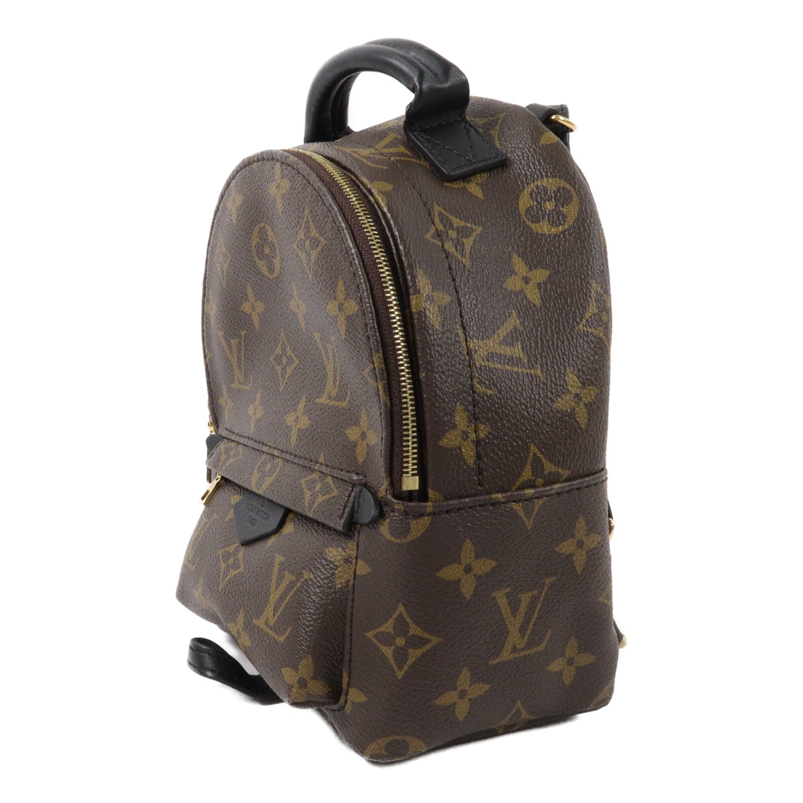 LOUIS VUITTON Monogram Palm Springs Mini背包
