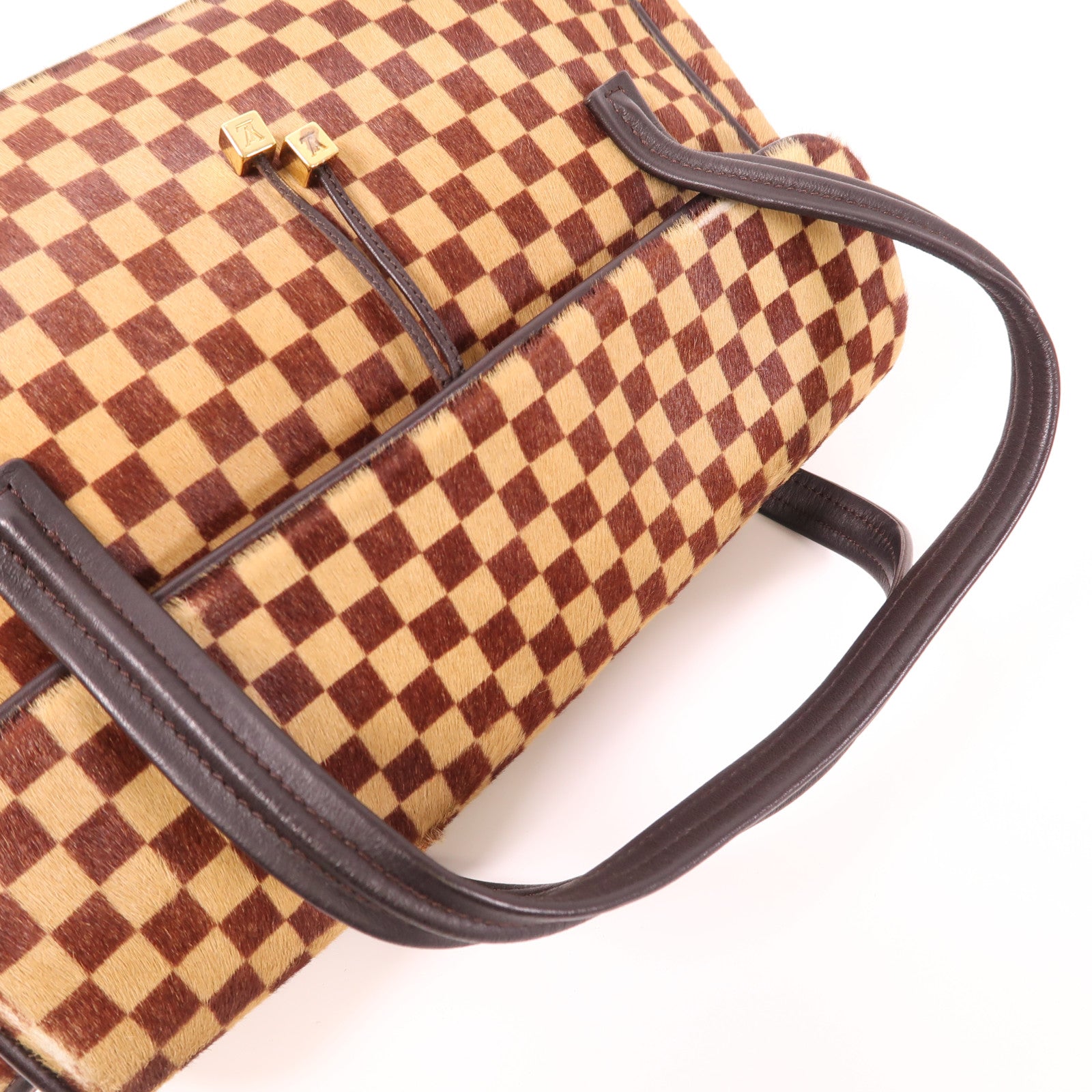 LOUIS VUITTON Damier Sauvage Lionne金扣手挽袋