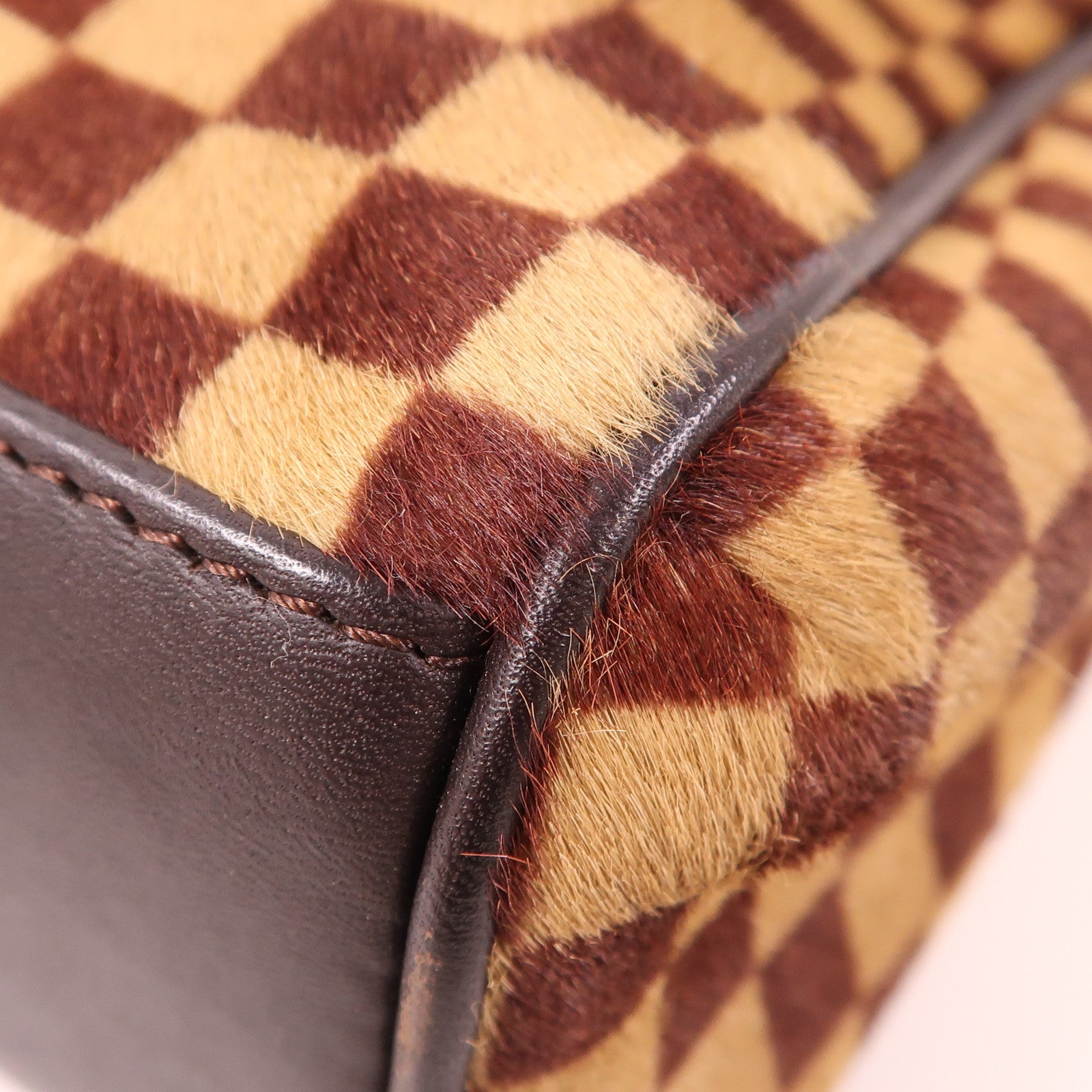 LOUIS VUITTON Damier Sauvage Lionne金扣手挽袋