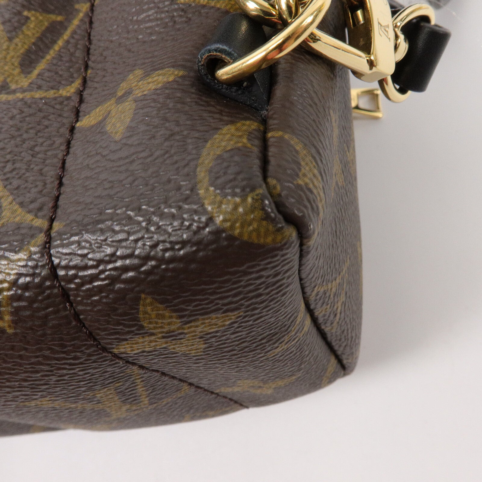 LOUIS VUITTON Monogram Palm Springs Mini背包
