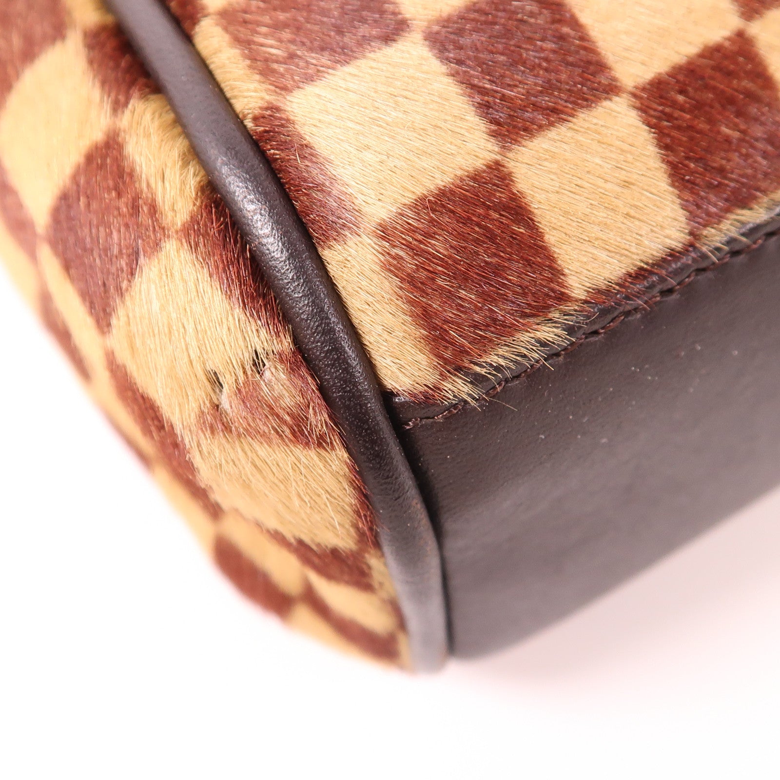 LOUIS VUITTON Damier Sauvage Lionne金扣手挽袋