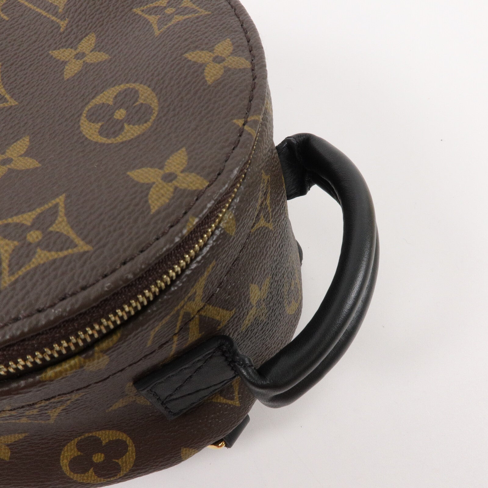 LOUIS VUITTON Monogram Palm Springs Mini背包