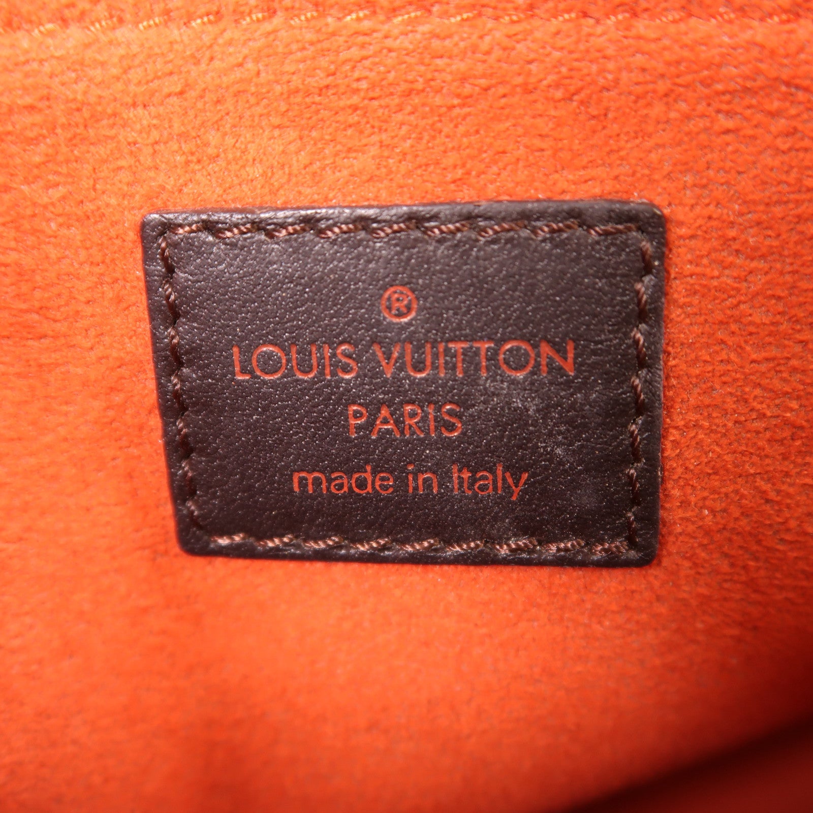 LOUIS VUITTON Damier Sauvage Lionne金扣手挽袋