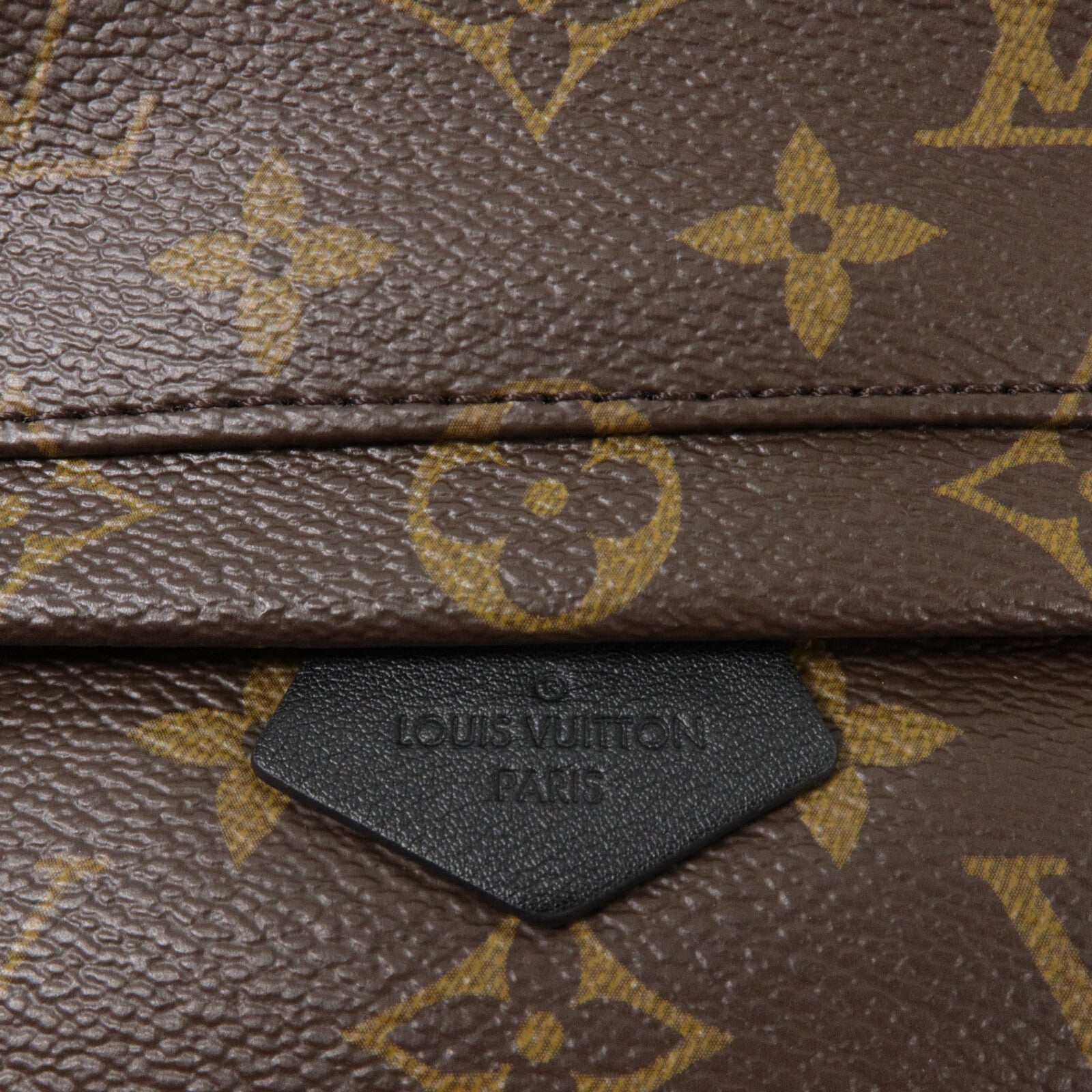 LOUIS VUITTON Monogram Palm Springs Mini背包