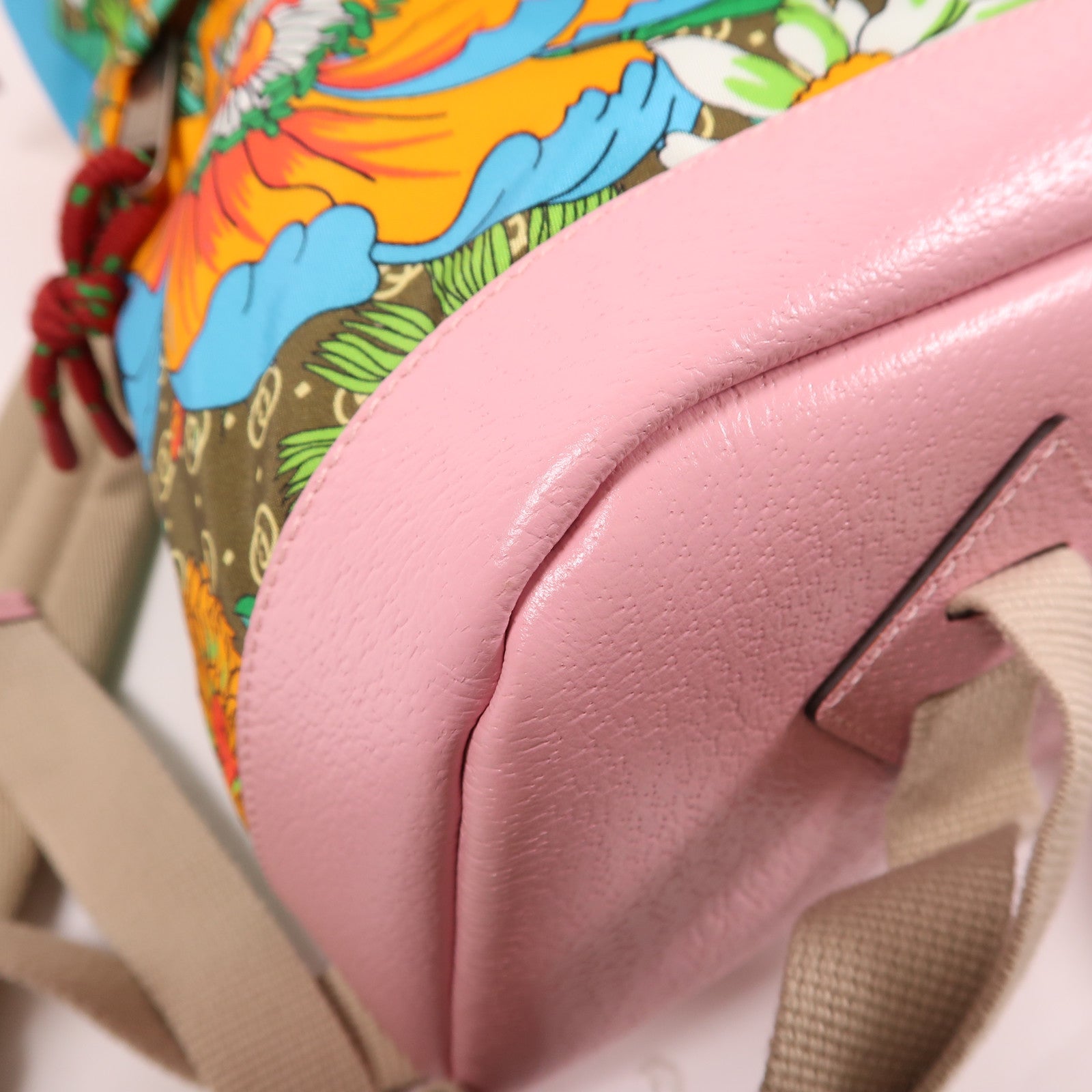 GUCCI 尼龍The North Face x Gucci背包彩色