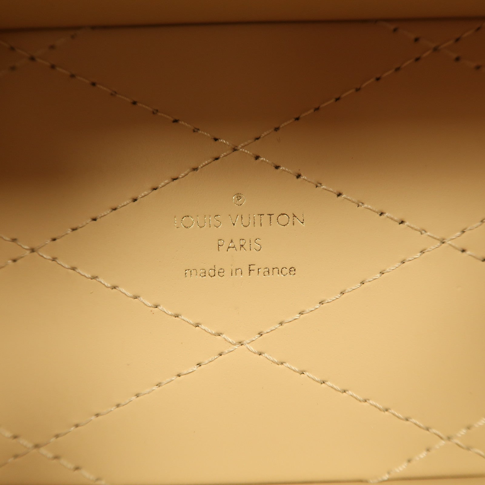 LOUIS VUITTON LV GHW Camera Box 2 Way Shoulder Bag M10079 Monogram Brown