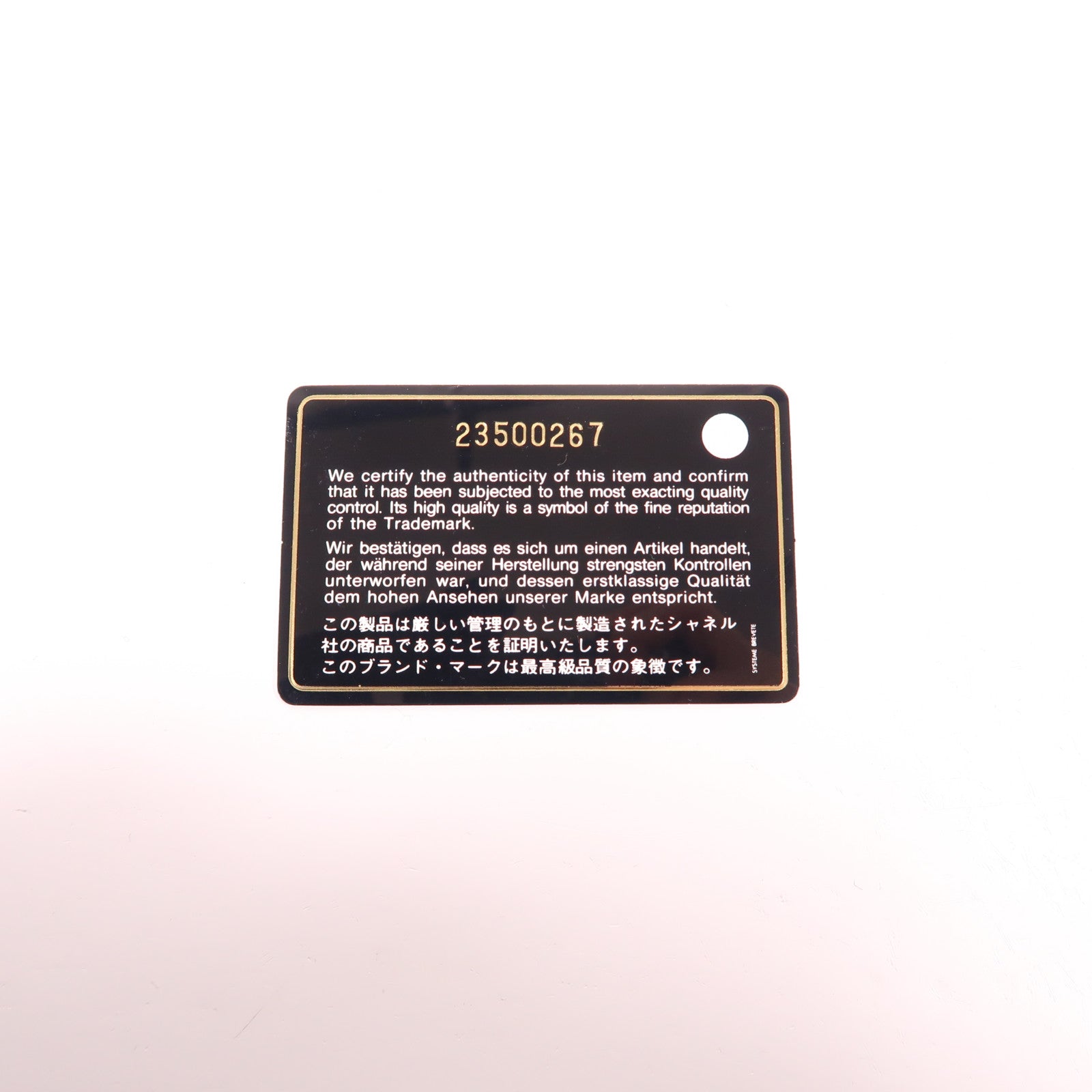 CHANEL 蜥蝪皮革/牛皮皮革Flap Bag With Top Handle手挽肩背兩用袋