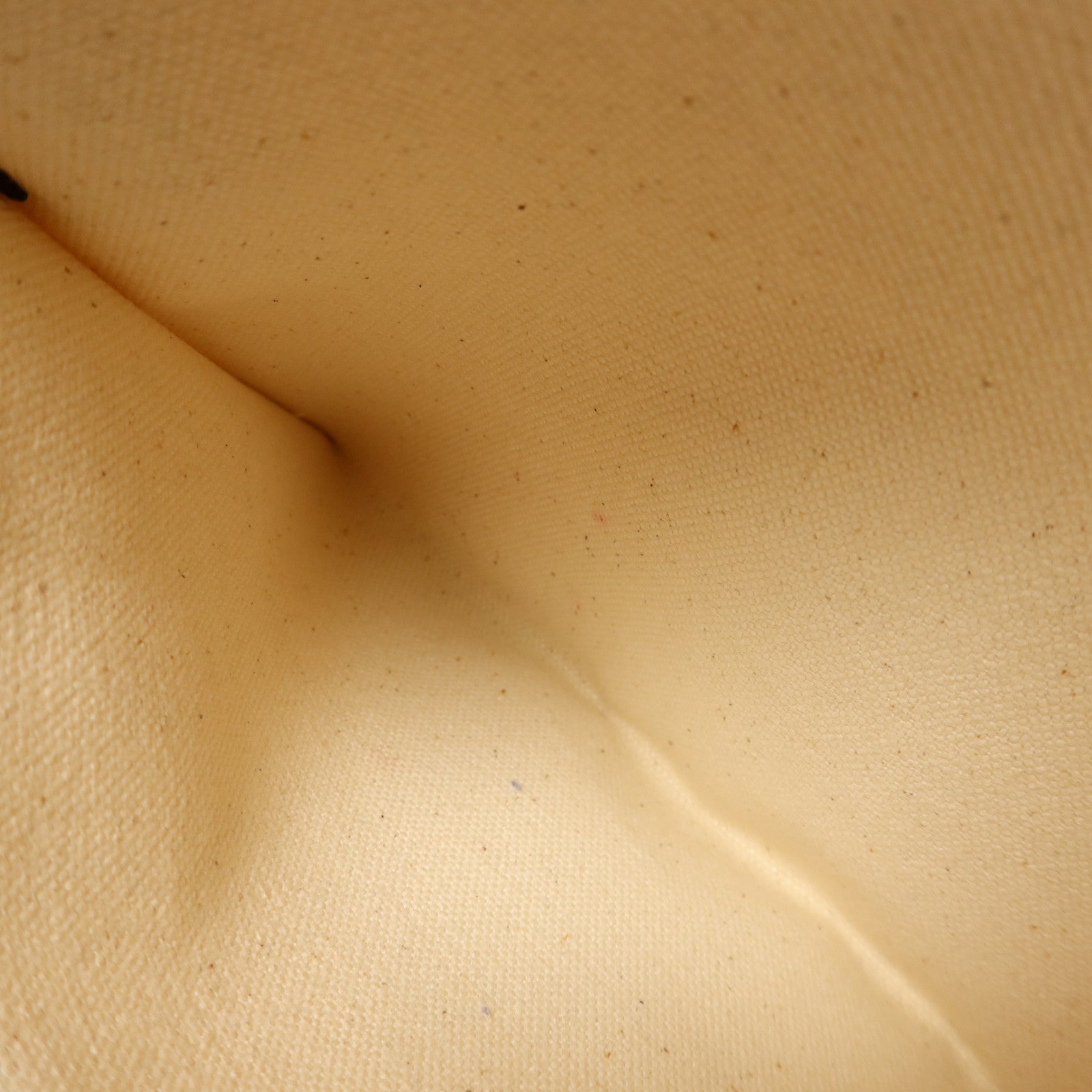 Kate Spade 帆布Tote Bag金扣手挽袋