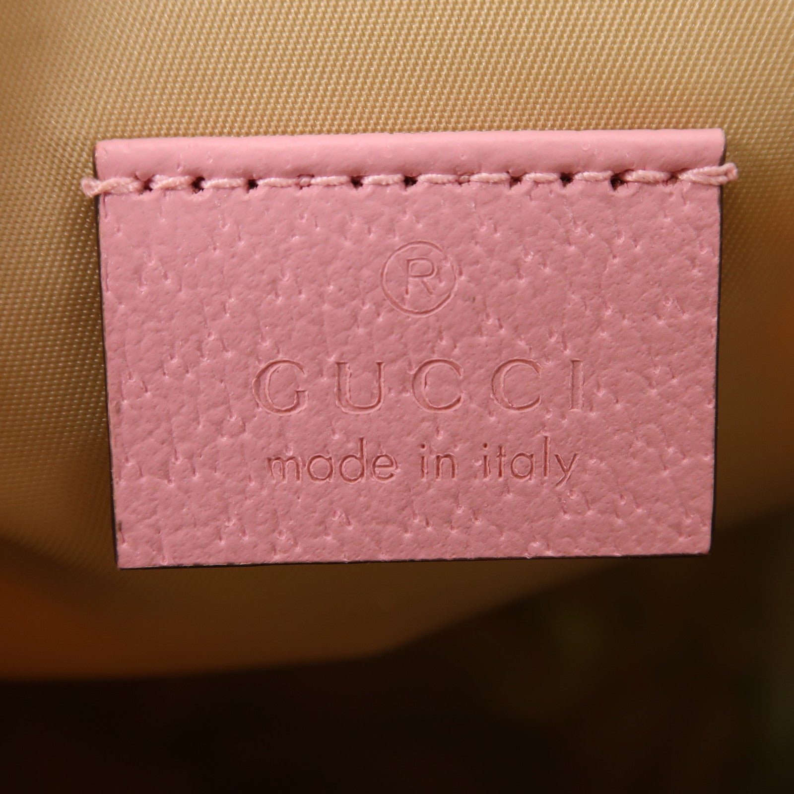 GUCCI 尼龍The North Face x Gucci背包彩色