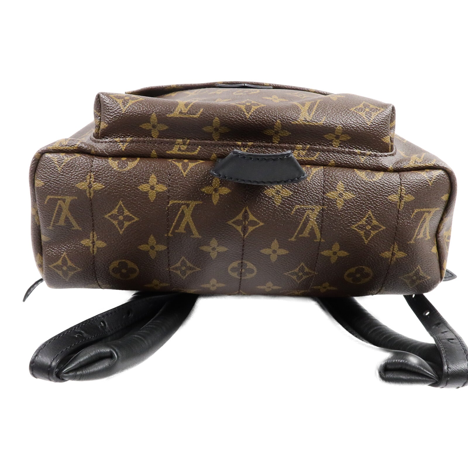 LOUIS VUITTON Monogram Palm Springs MM背包