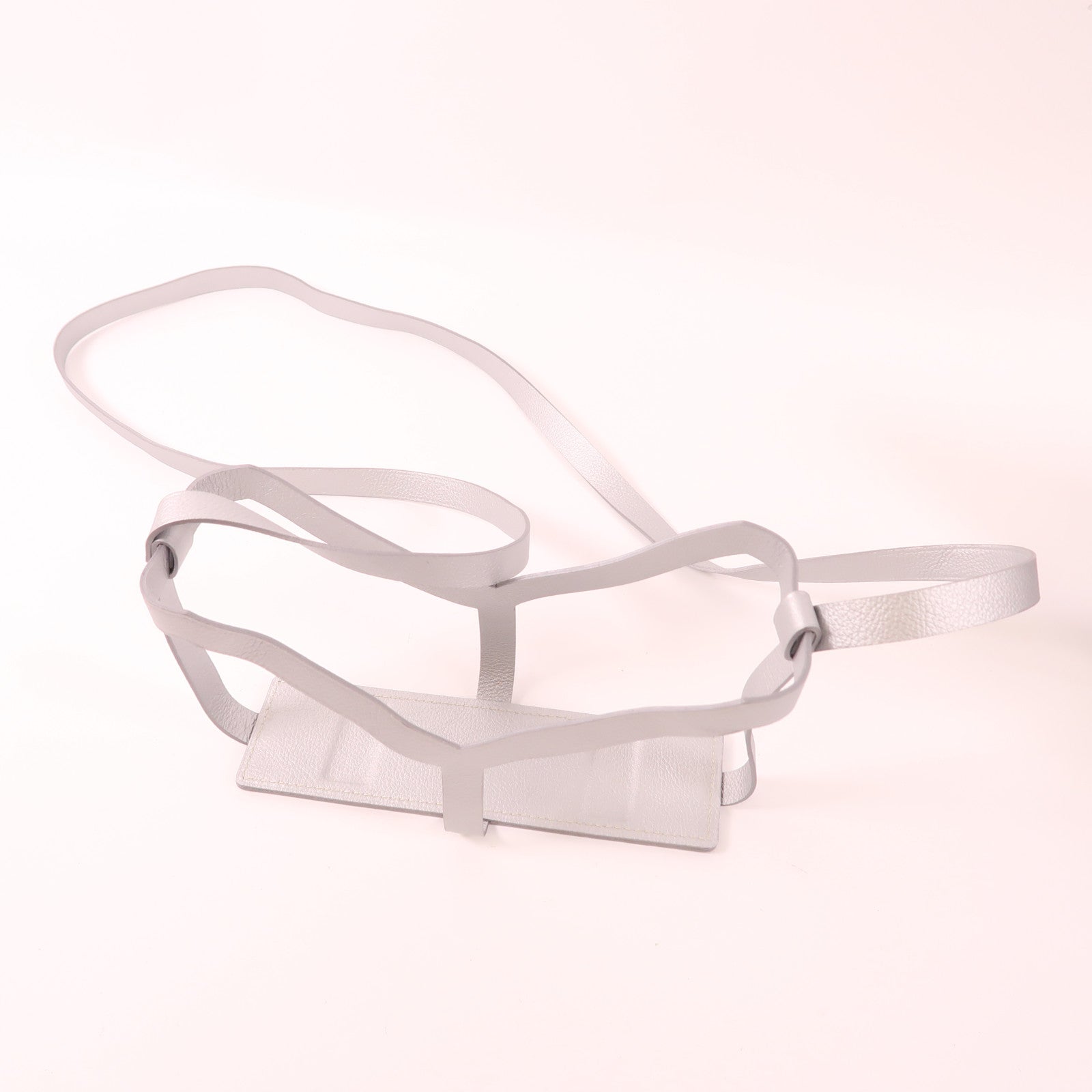 GOYARD 【激減優惠】塗層帆布Minaudiere Trunk Bag銀扣肩背袋