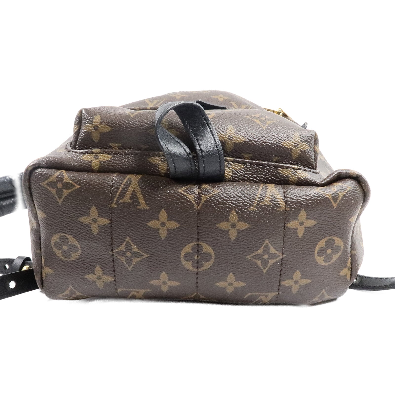 LOUIS VUITTON Monogram Palm Springs PM背包