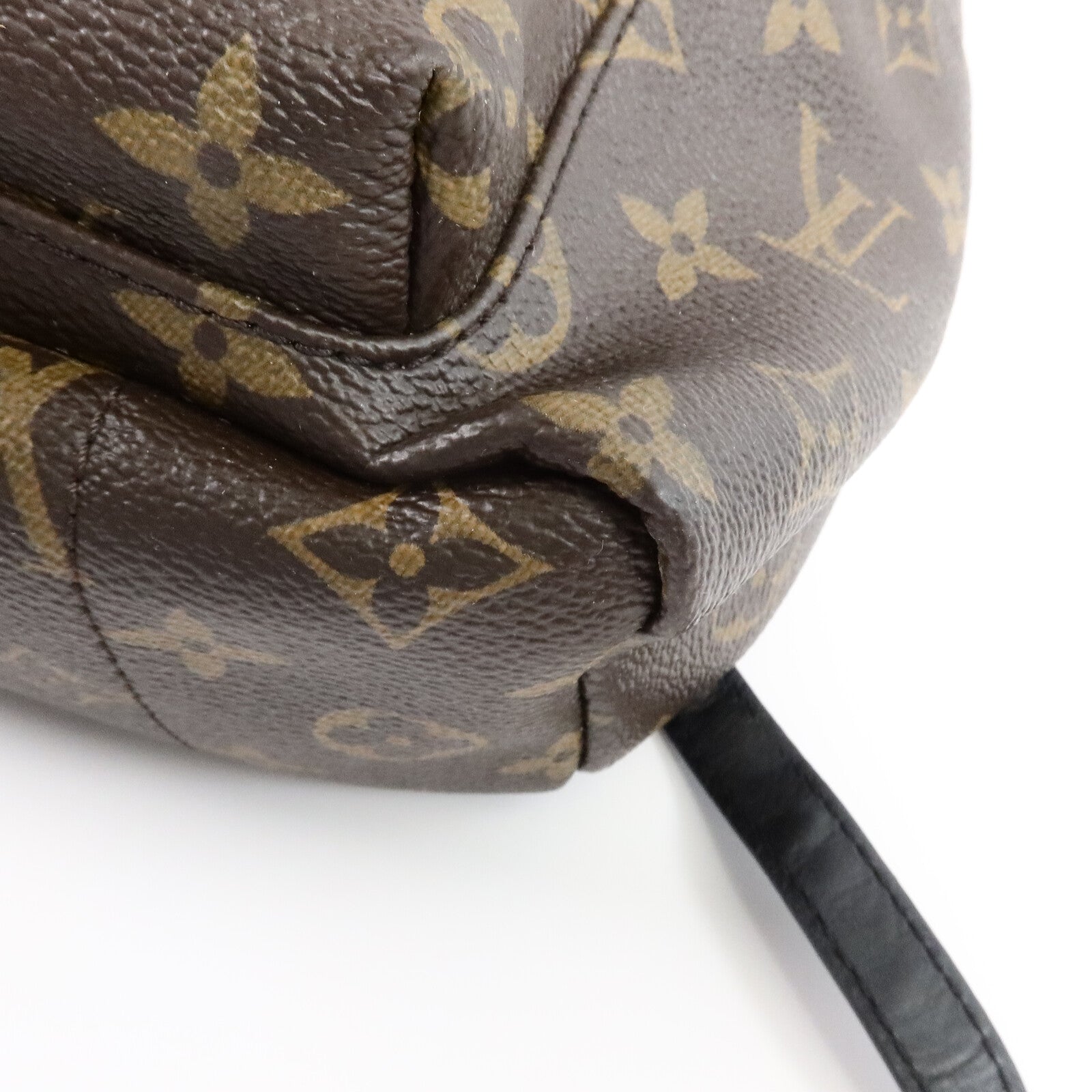LOUIS VUITTON Monogram Palm Springs PM背包