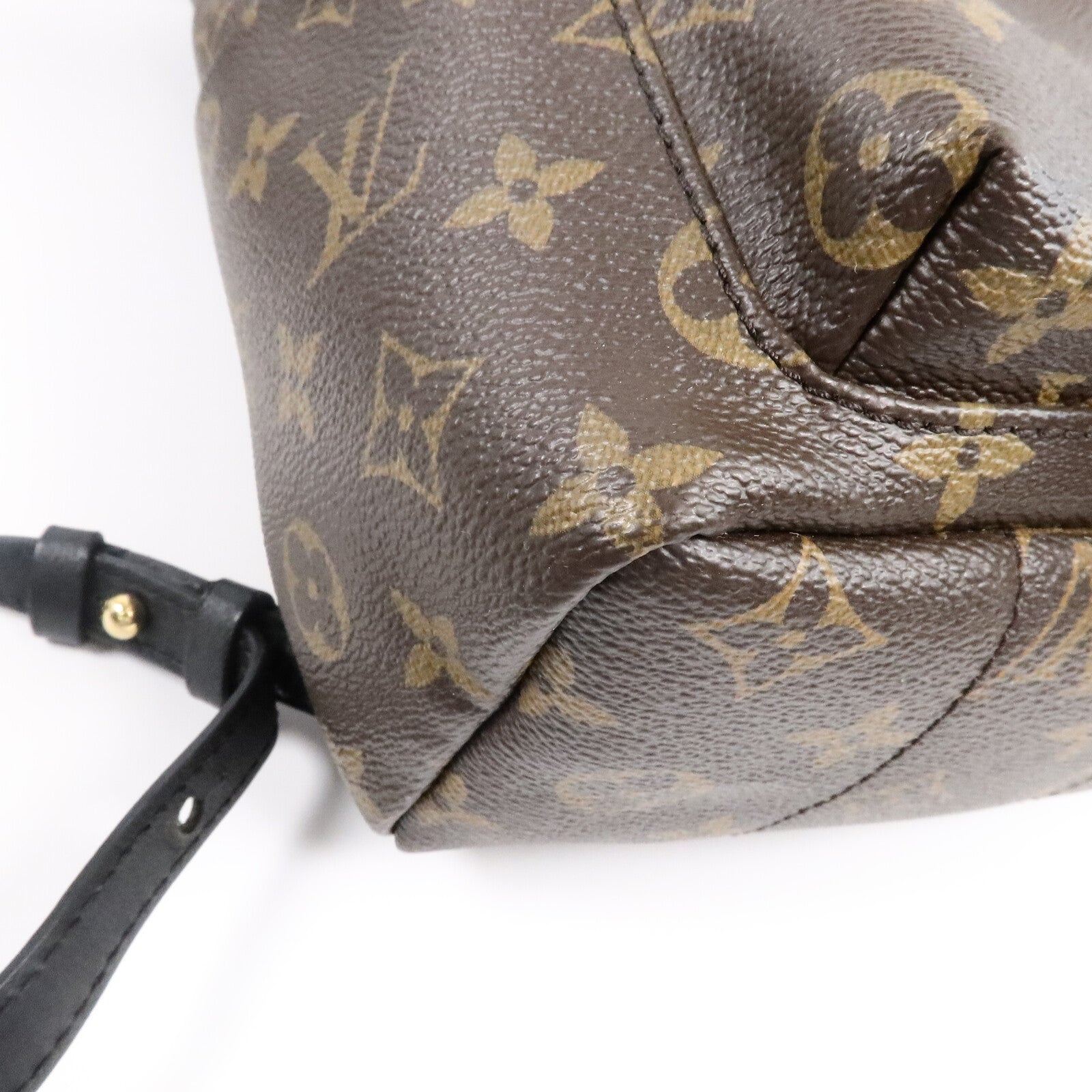 LOUIS VUITTON Monogram Palm Springs PM背包