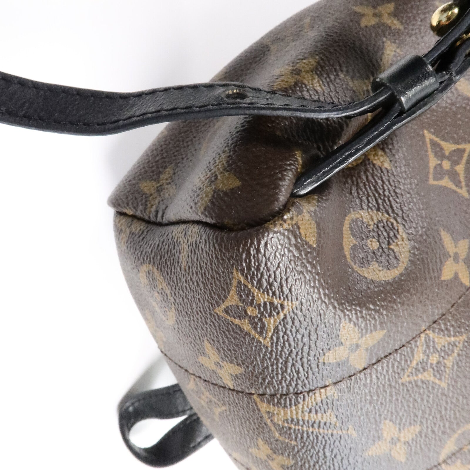 LOUIS VUITTON Monogram Palm Springs PM背包