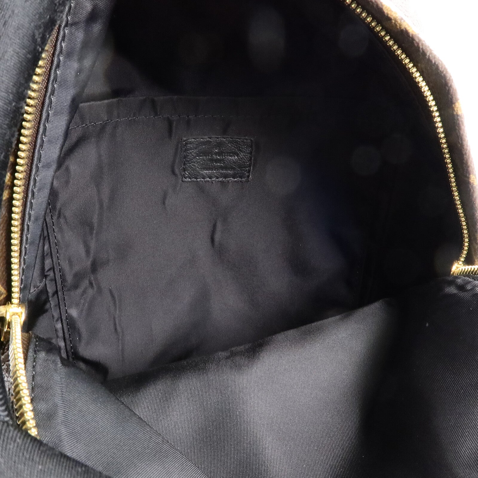 LOUIS VUITTON Monogram Palm Springs PM背包