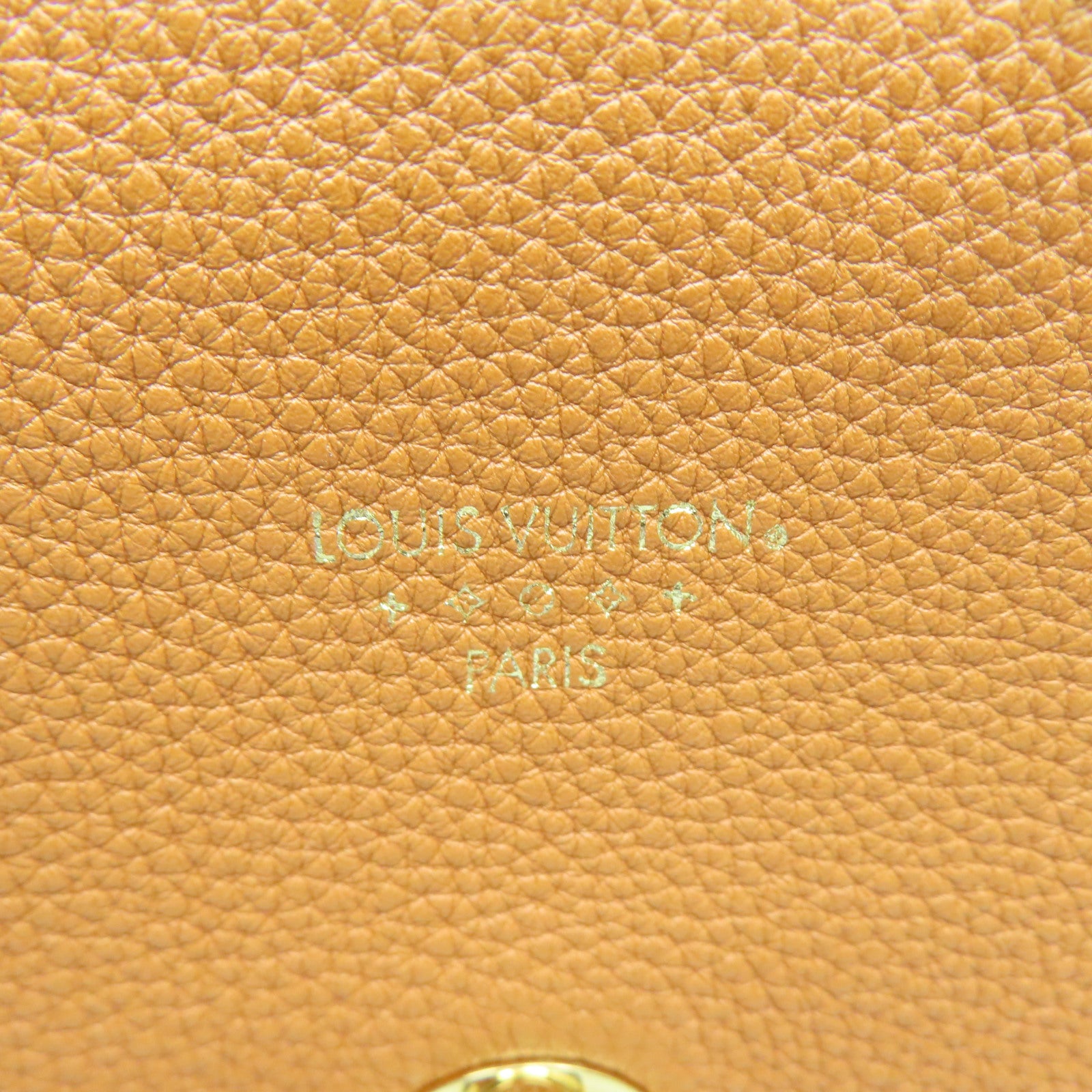 LOUIS VUITTON 【清倉大減價】牛皮皮革Pont 9 Soft MM金扣肩背袋棕色