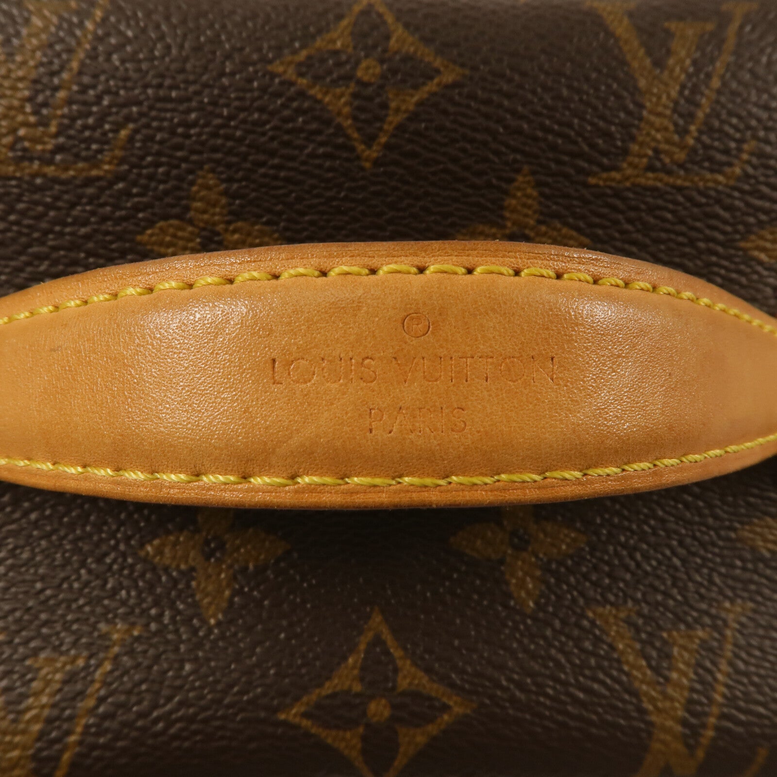 LOUIS VUITTON Monogram Nice Mini手挽袋