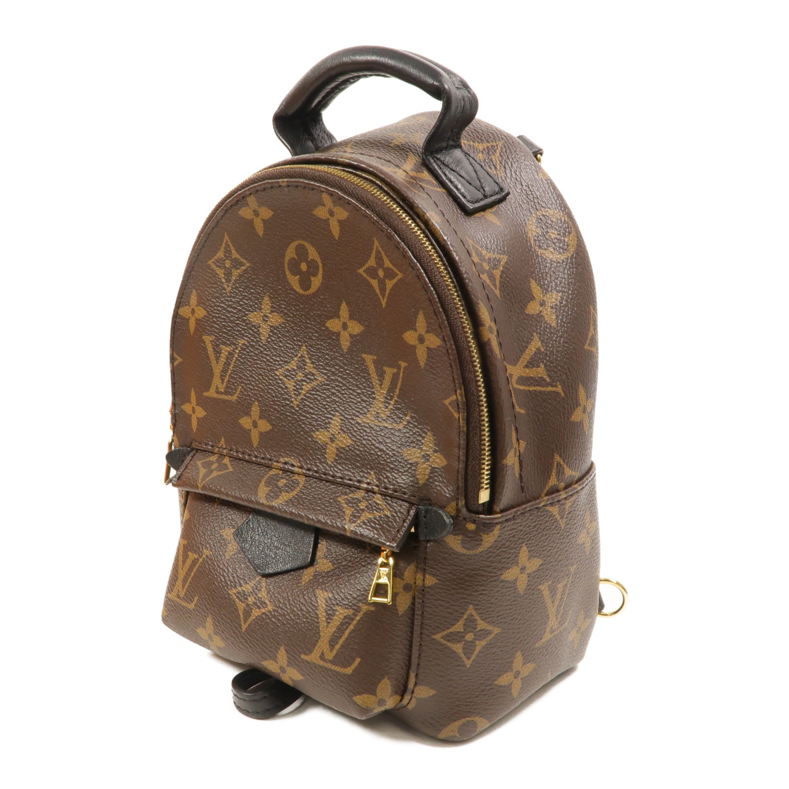 LOUIS VUITTON Monogram Palm Springs Mini背包