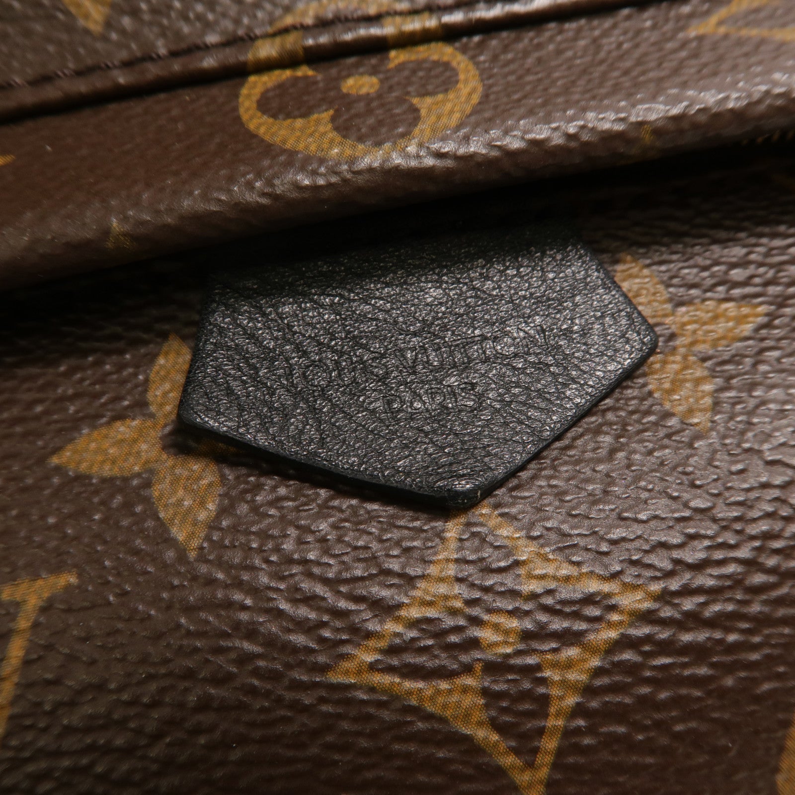 LOUIS VUITTON Monogram Palm Springs Mini背包