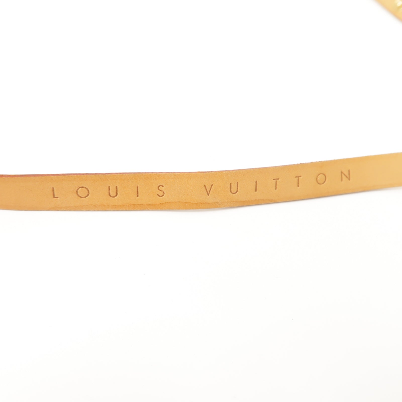 LOUIS VUITTON Monogram Pochette Florentine金扣腰包啡色