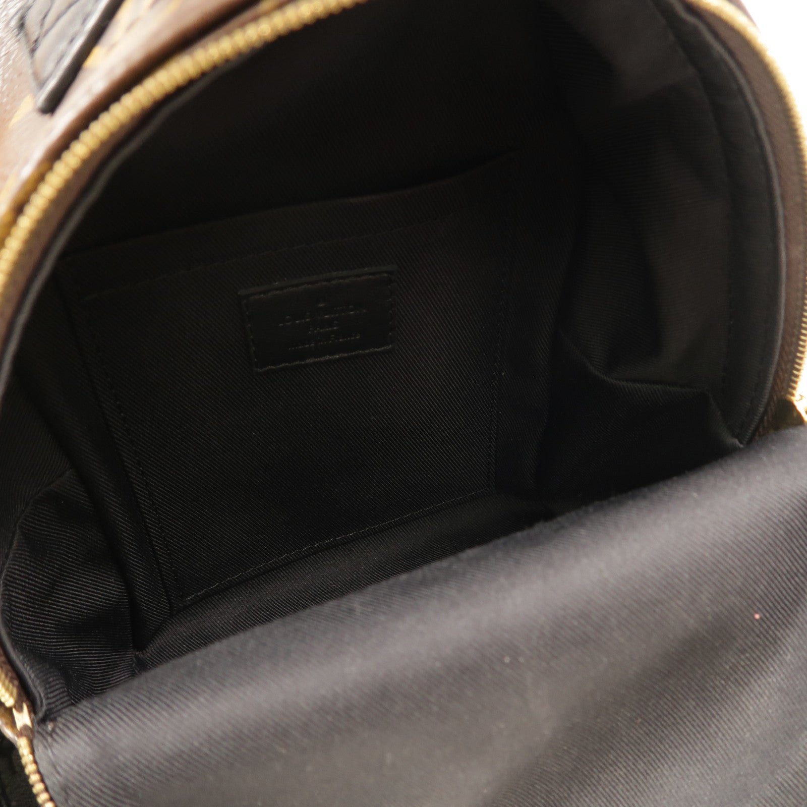 LOUIS VUITTON Monogram Palm Springs Mini背包