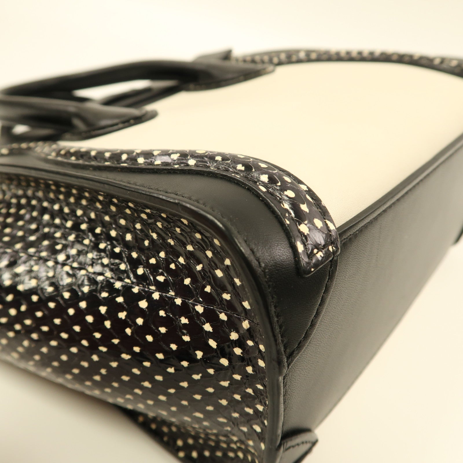 CELINE 牛皮皮革/蛇皮皮革Nano Luggage金扣手挽肩背兩用袋白色/黑色