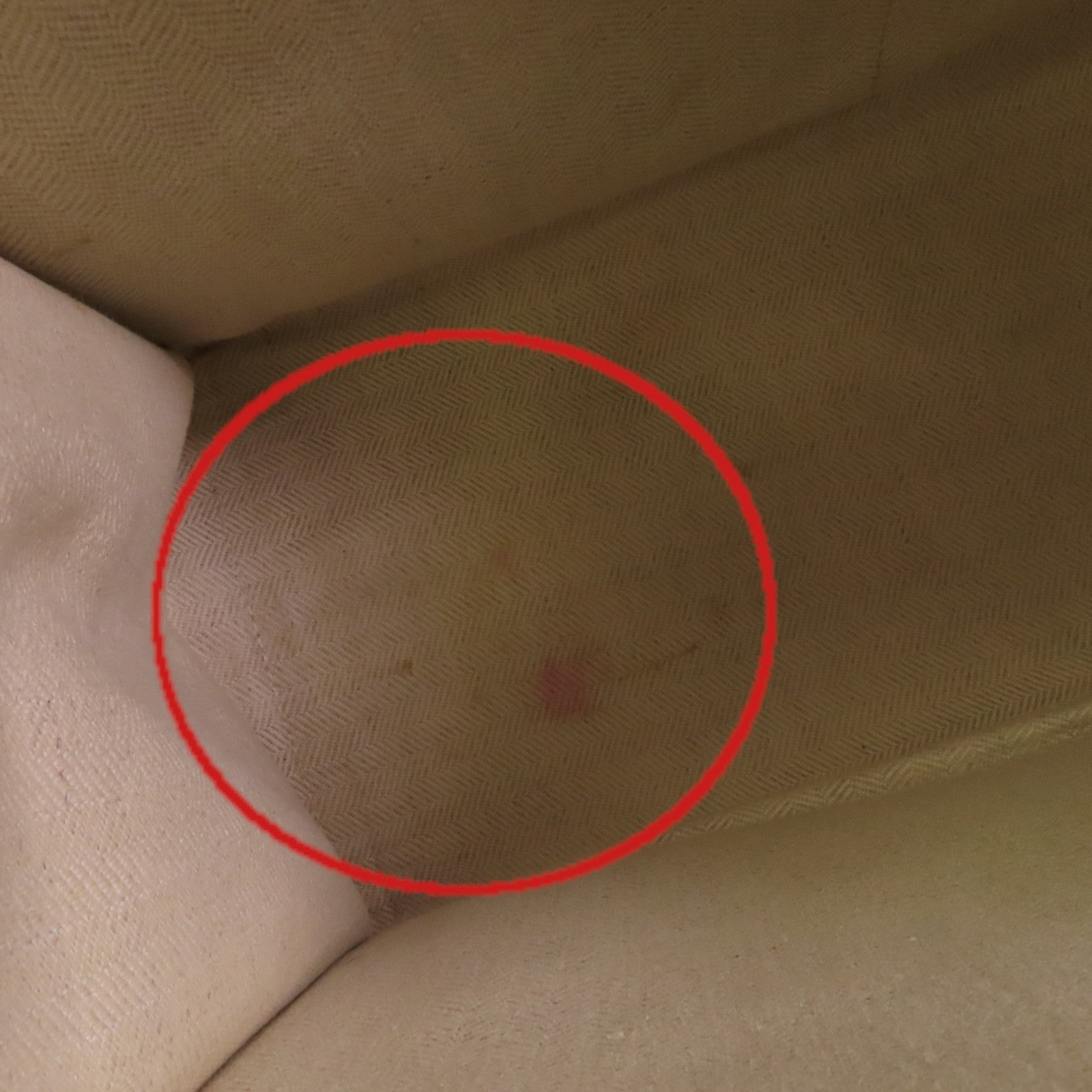 LOEWE 帆布Paulas Ibiza Mermaid Medium Cushion Tote肩背袋