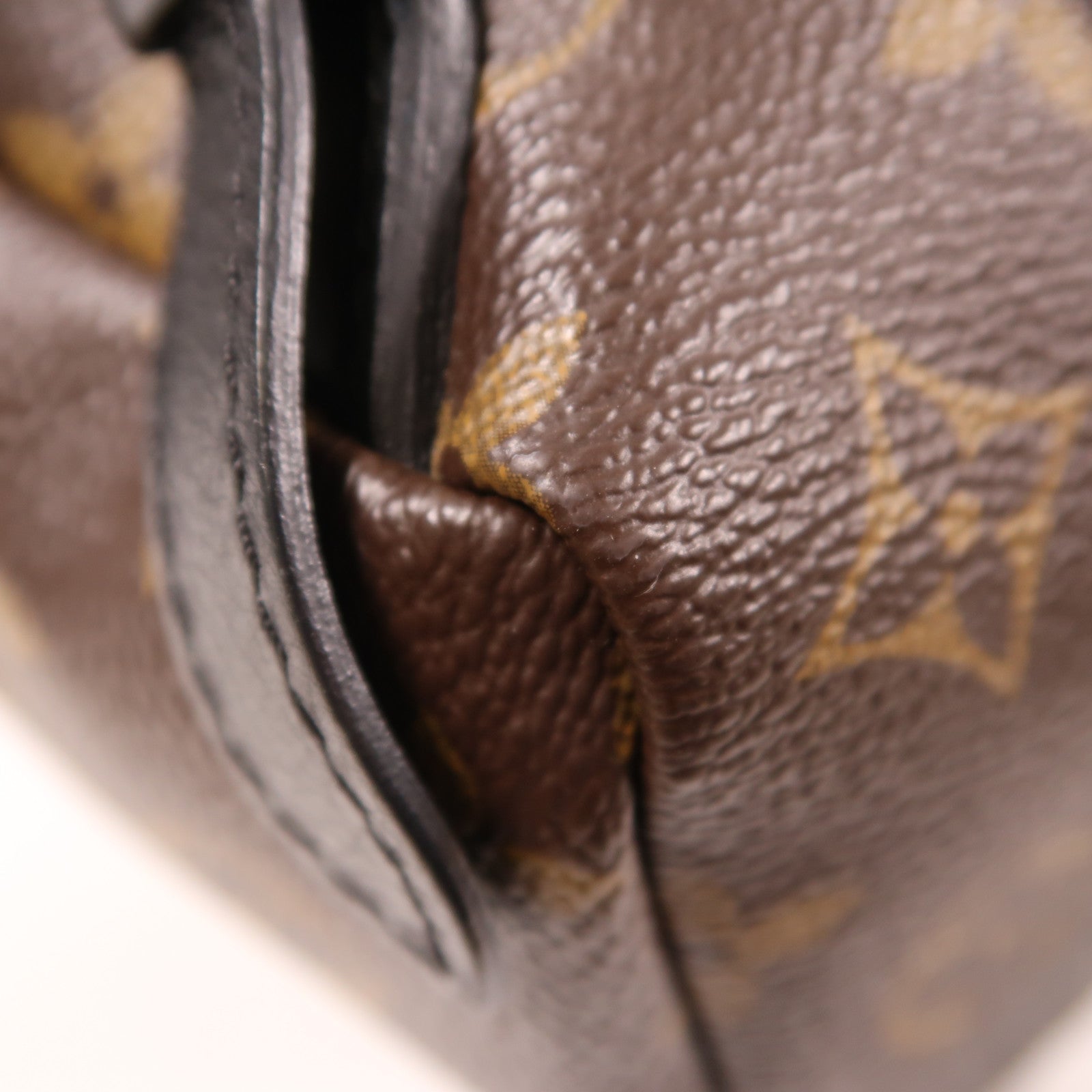 LOUIS VUITTON Monogram Palm Springs PM金扣背包
