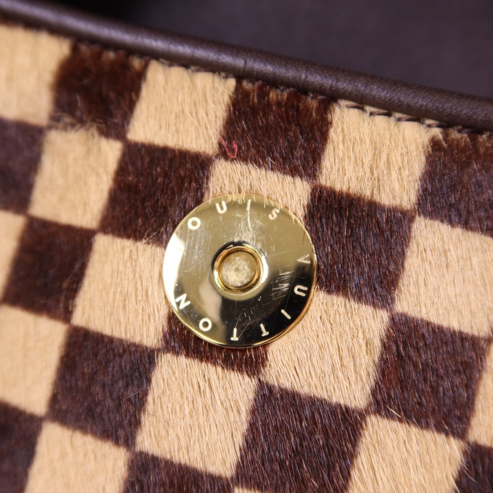 LOUIS VUITTON 馬毛/Harako皮革Damier Sauvage Gazelle Pochette金扣肩背袋